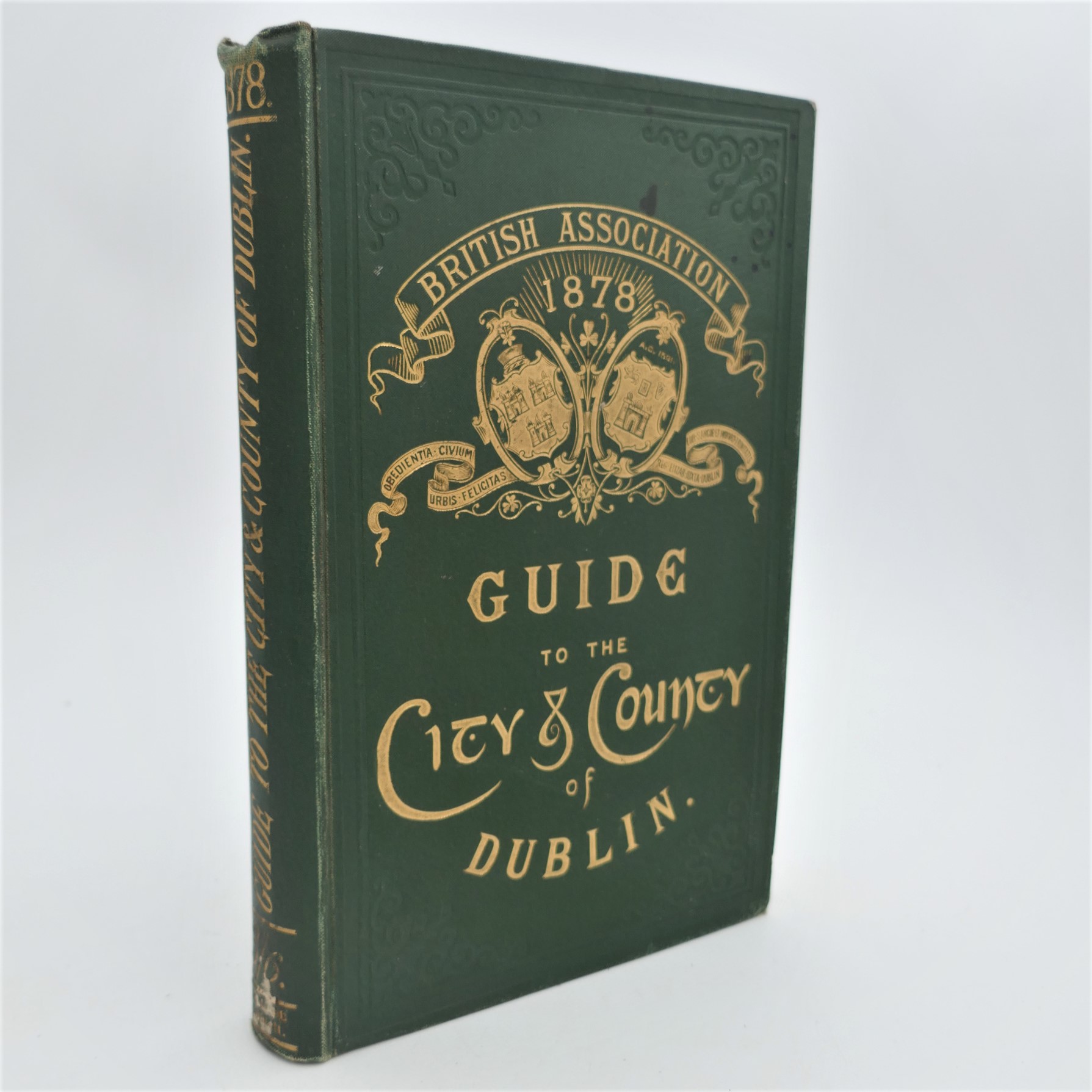 Guide to the County of Dublin (1878)
