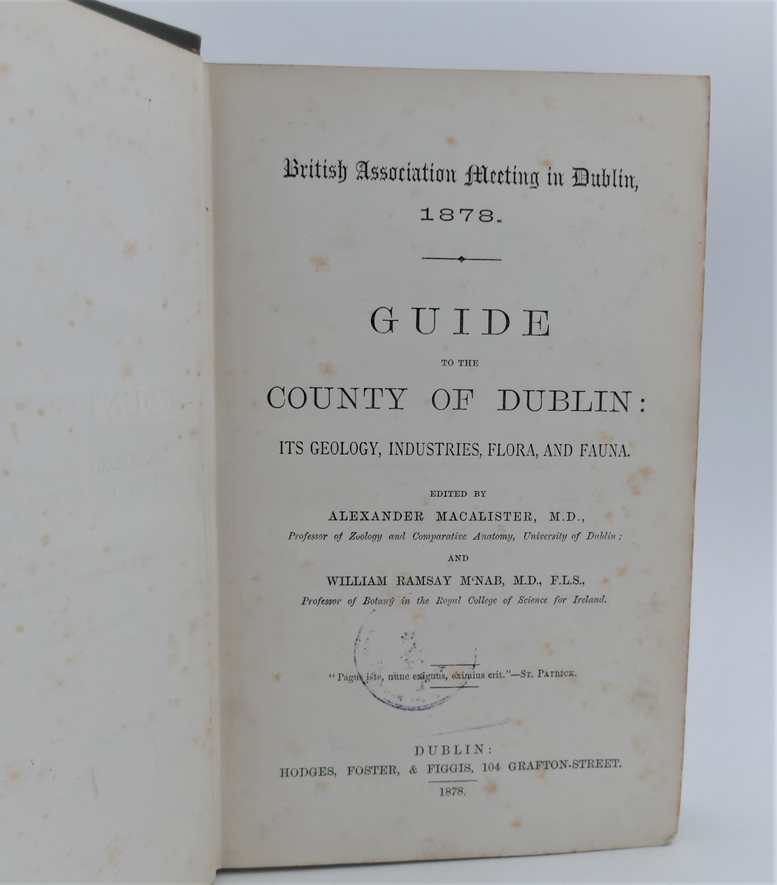 Guide to the County of Dublin (1878) - Image 2