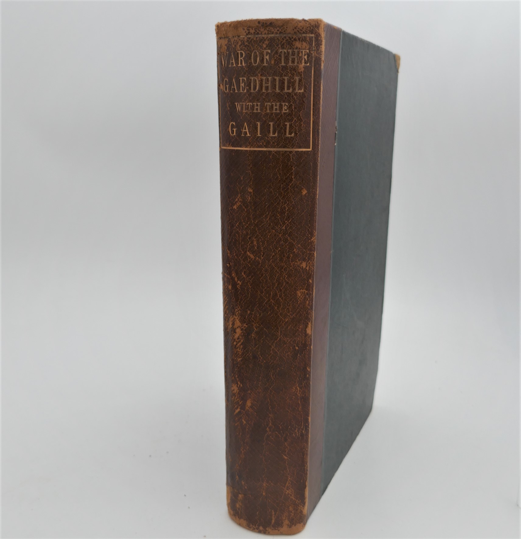 The War of the Gaedhil with the Gaill (1867)