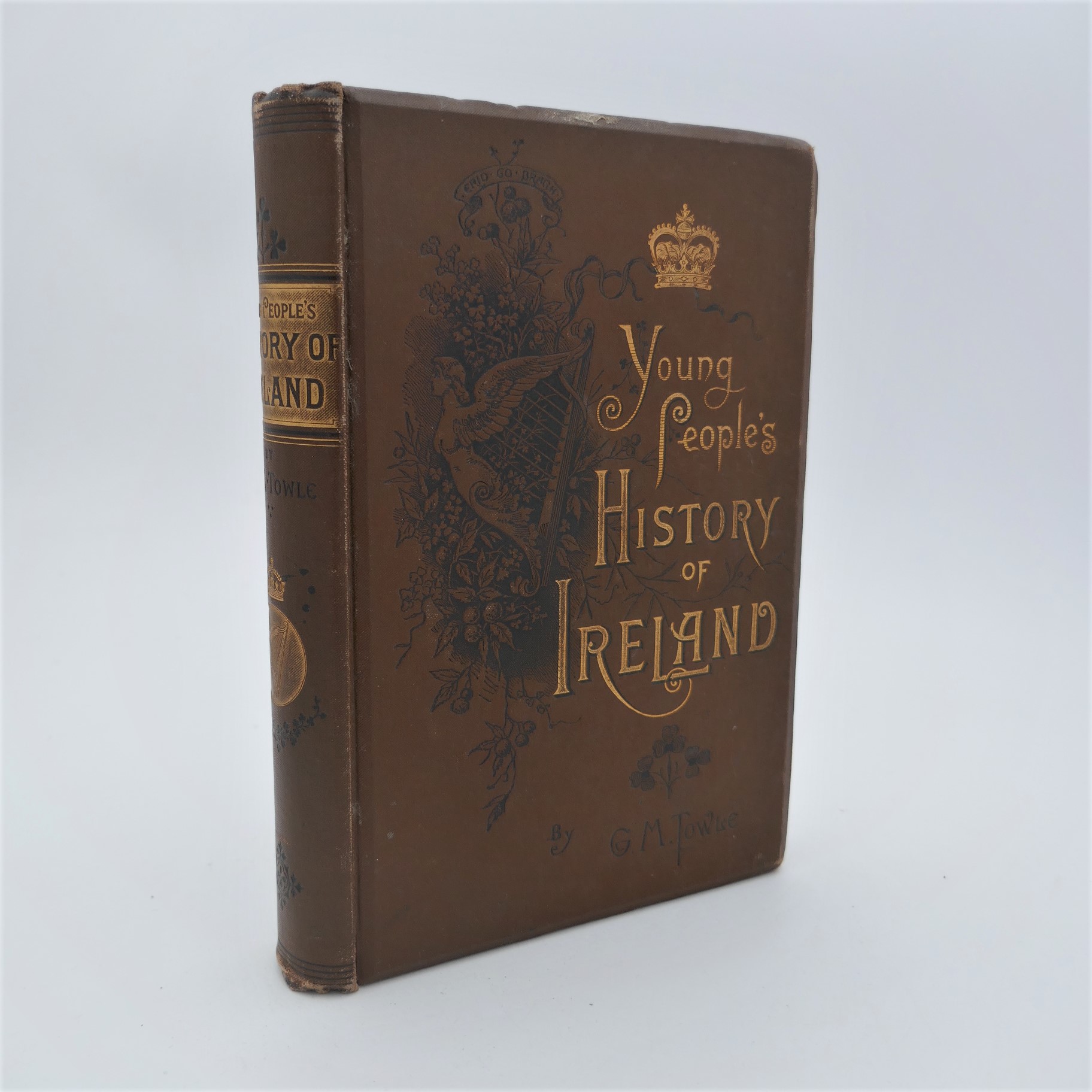 Young People's History of Ireland (1887)
