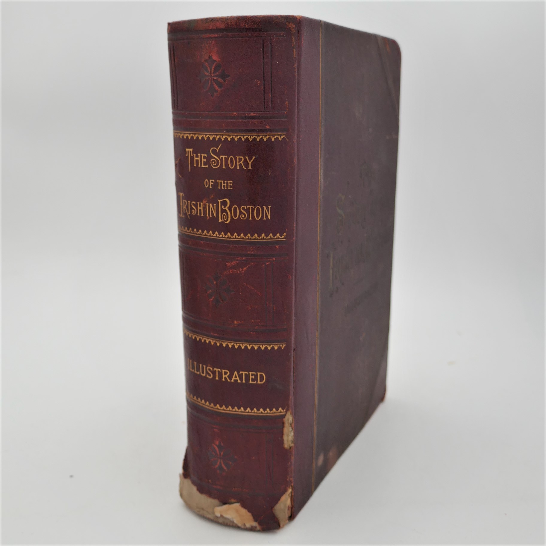The Story of the Irish in Boston (1890)