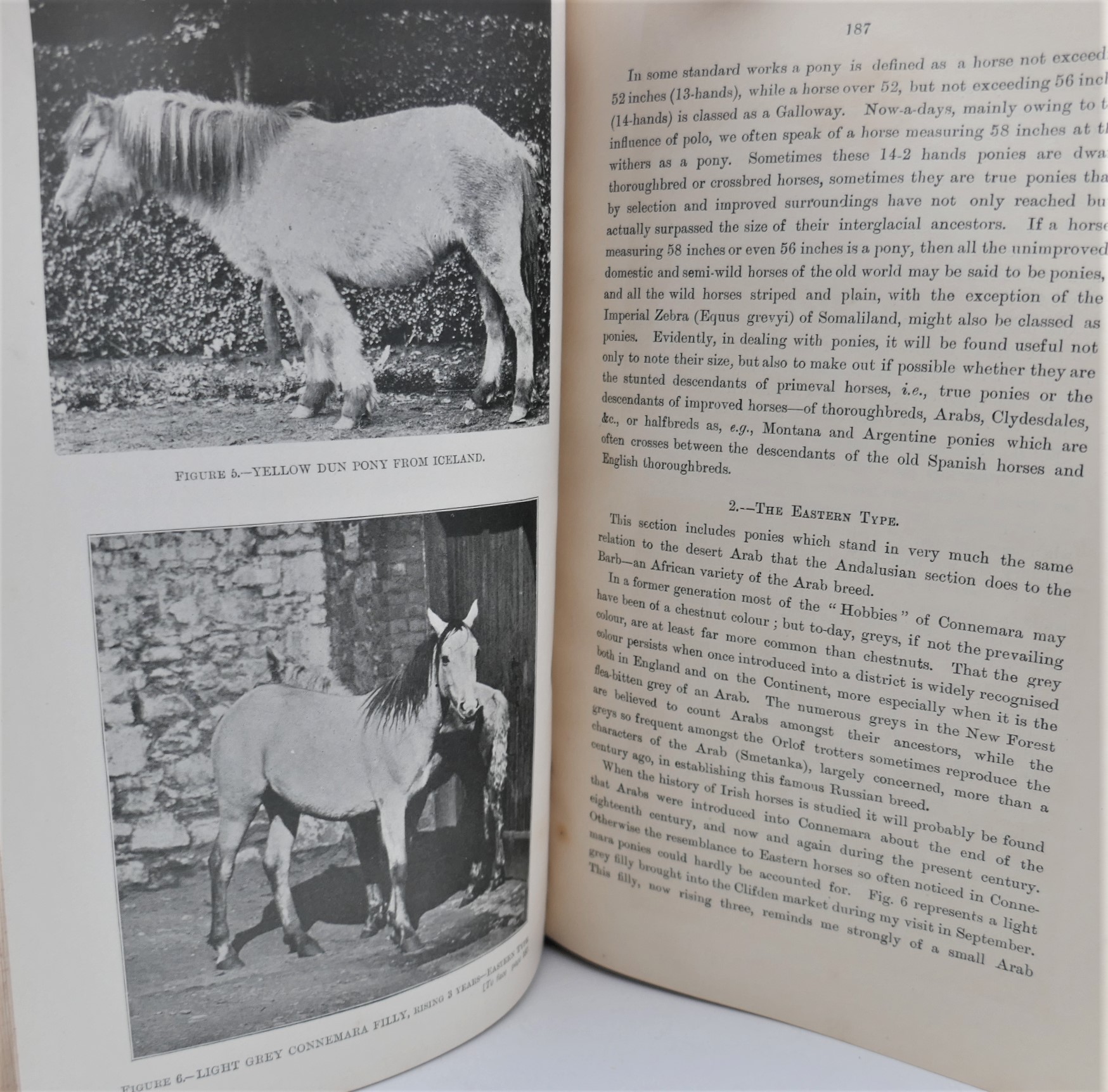 Department of Agriculture & Technical Instruction for Ireland (1900-1923) - Image 4