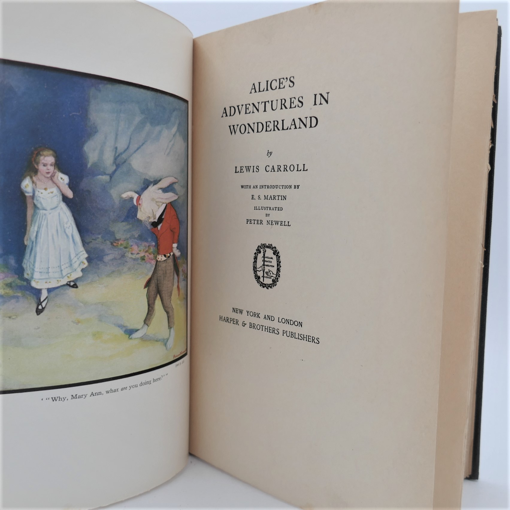 Alice's Adventures In Wonderland. Illustrated by Peter Newell (1901) - Image 2