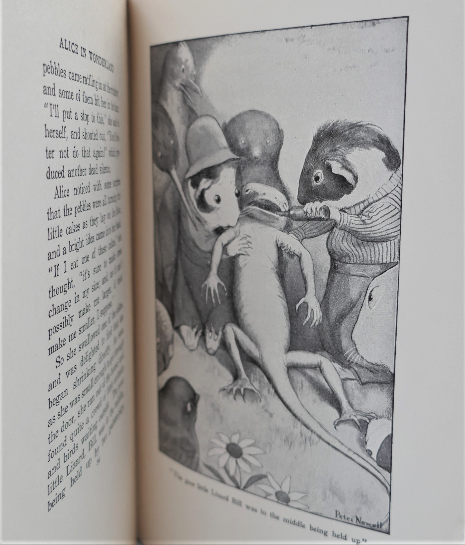 Alice's Adventures In Wonderland. Illustrated by Peter Newell (1901) - Image 3
