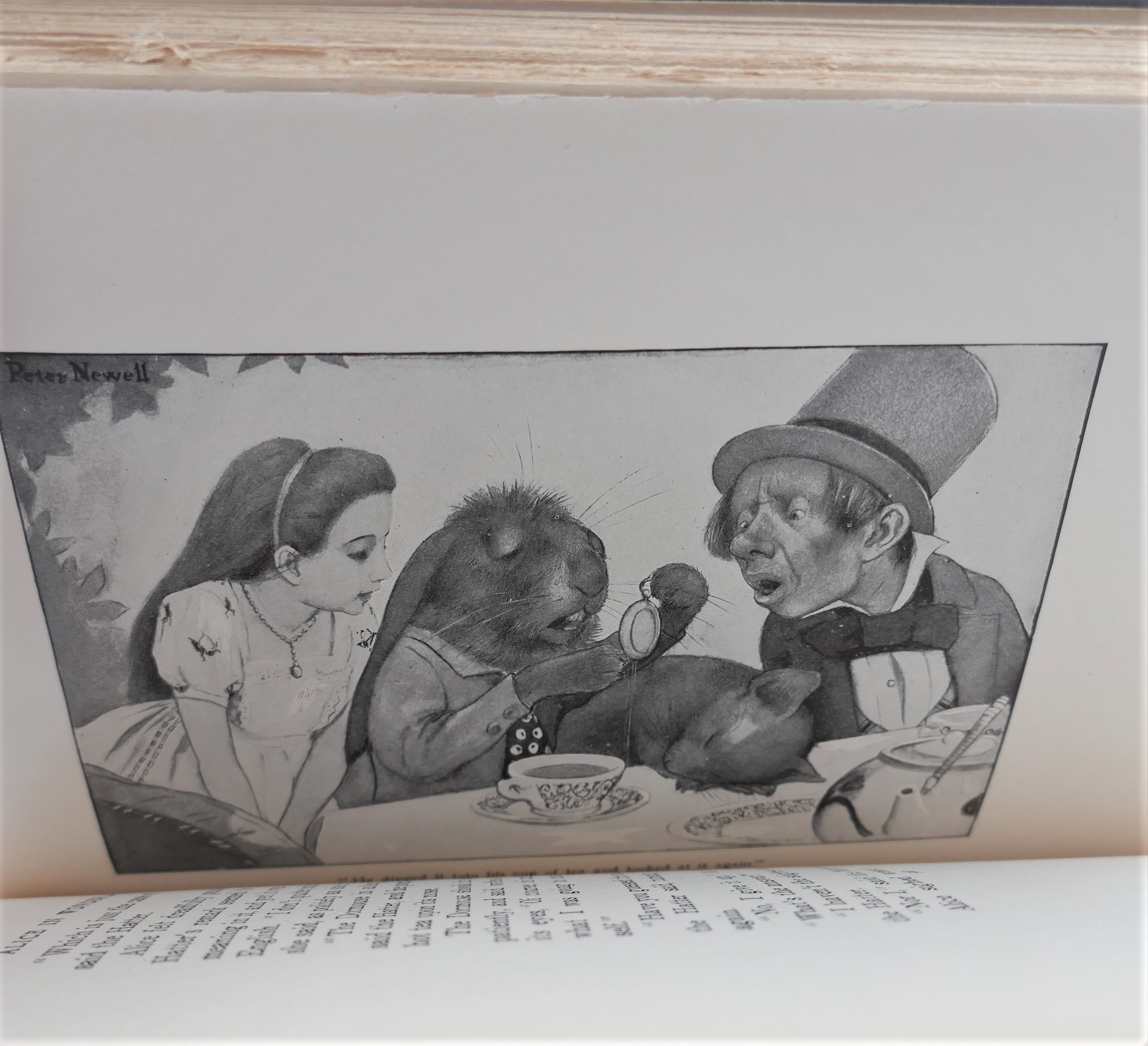 Alice's Adventures In Wonderland. Illustrated by Peter Newell (1901) - Image 4