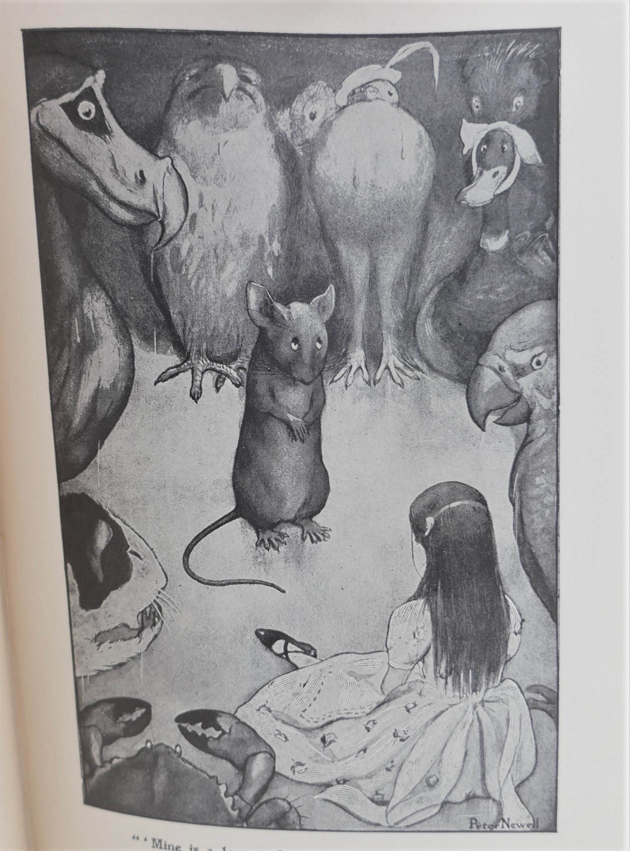 Alice's Adventures In Wonderland. Illustrated by Peter Newell (1901) - Image 5