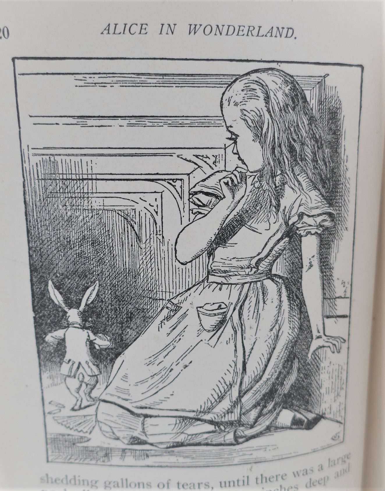 Alice's Adventures in Wonderland & Through the Looking Glass (1897) - Image 3