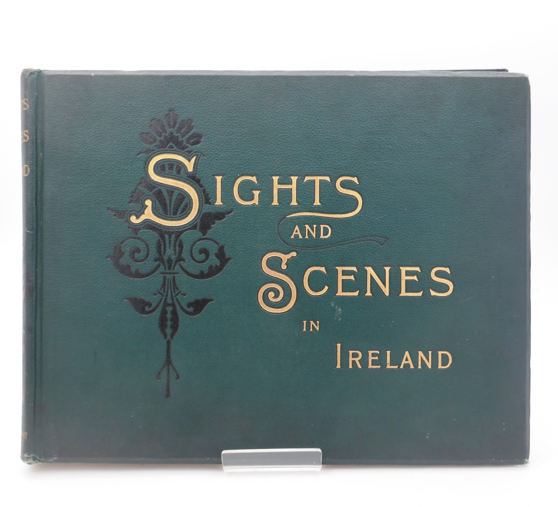 Sights and Scenes in Ireland (1890)
