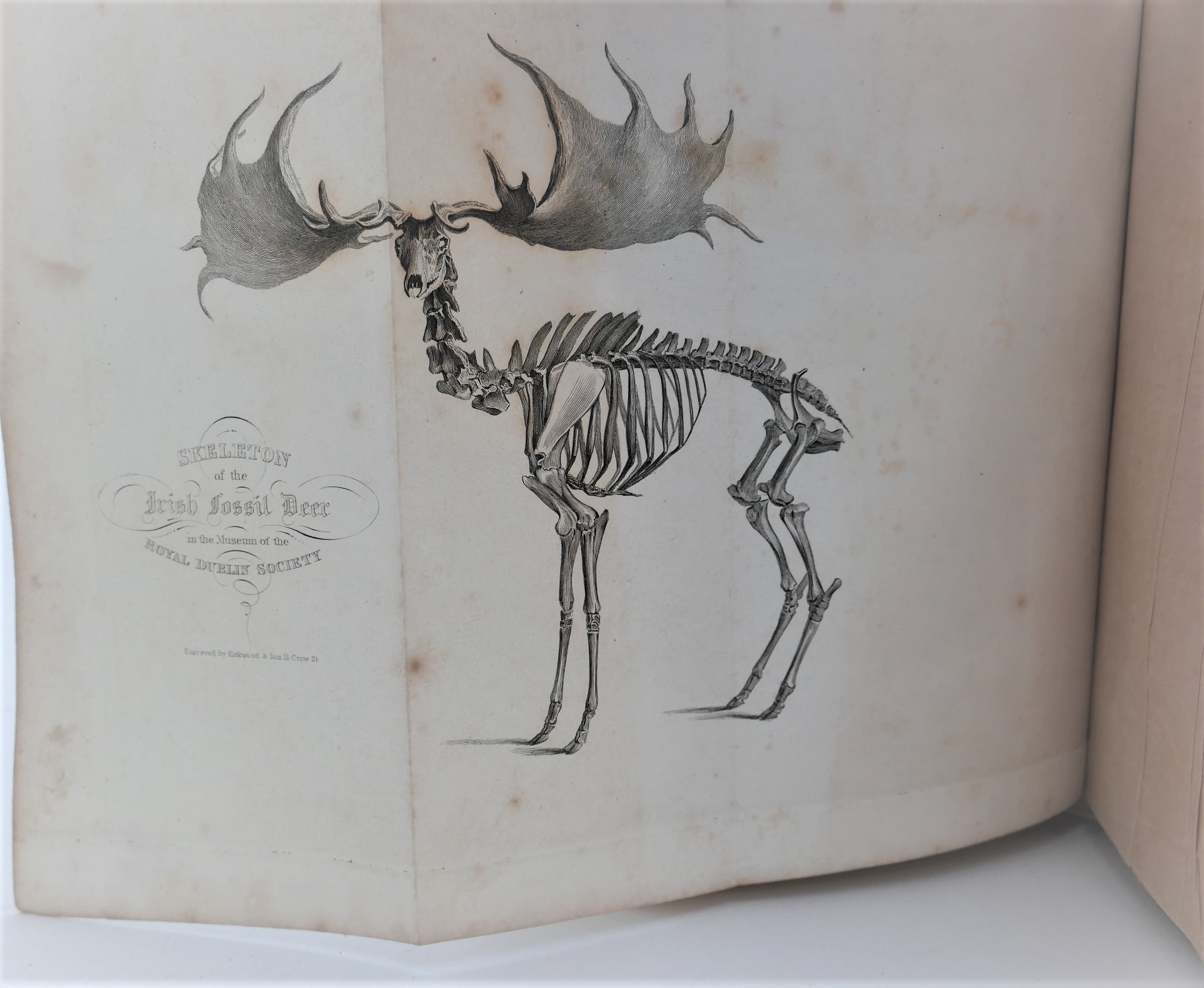 Two Months at Kilkee - County Clare (1836) - Image 4