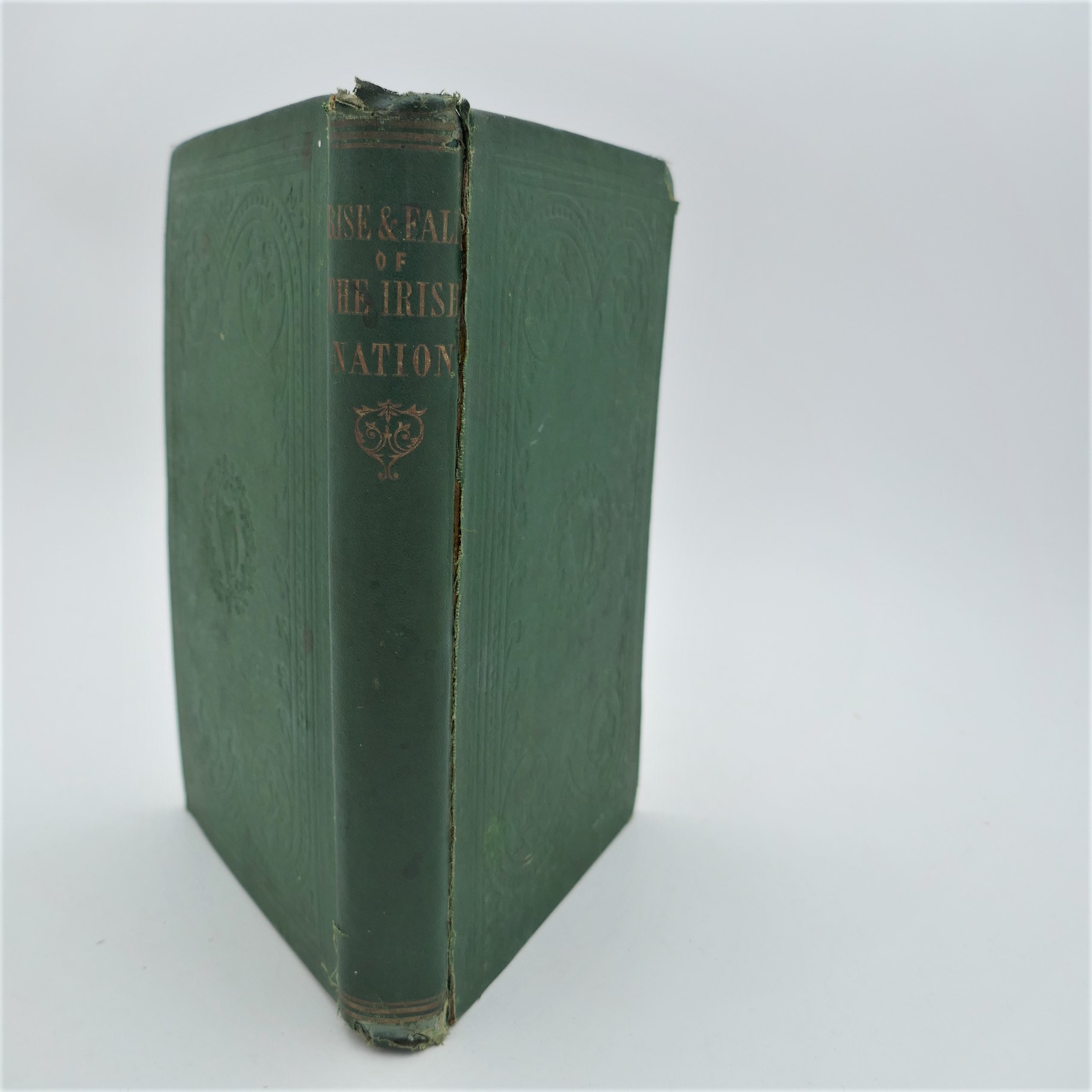 The Rise and Fall of The Irish Nation (1868)