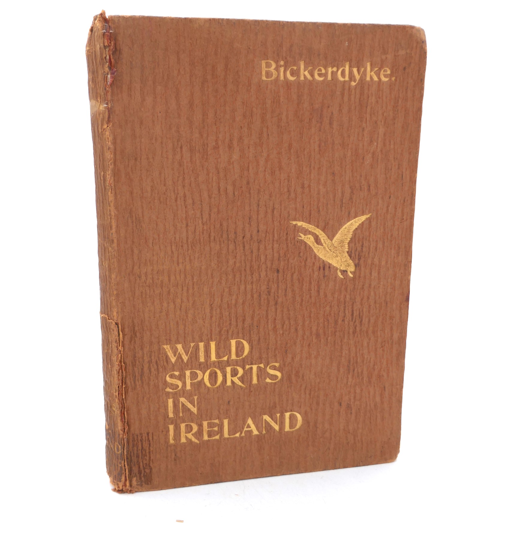 Wild Sports in Ireland (1897)