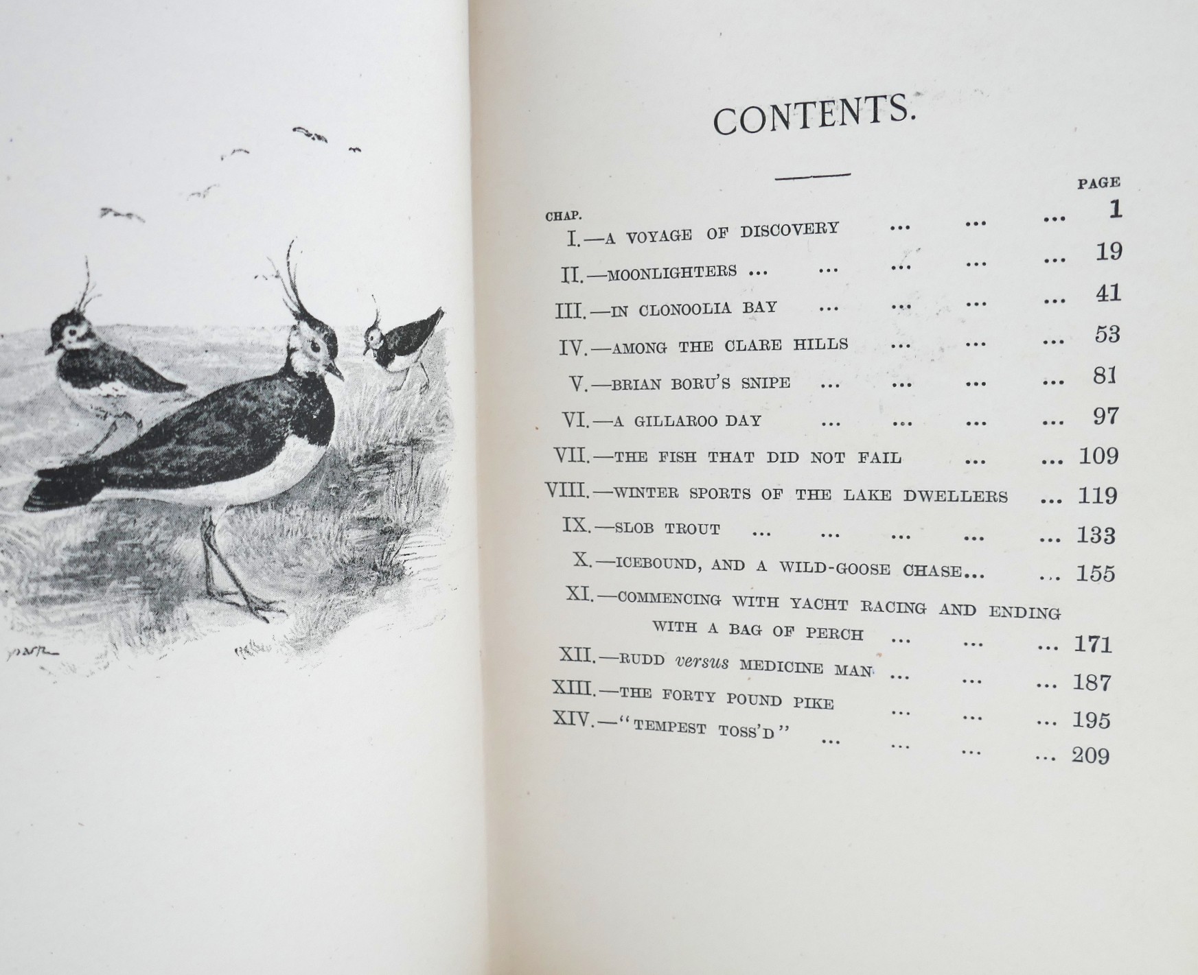 Wild Sports in Ireland (1897) - Image 6