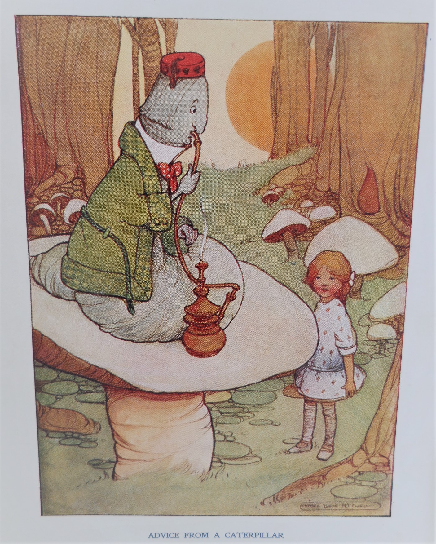 Alice in Wonderland. Illustrated by Mabel Lucie Attwell (1910) - Image 6