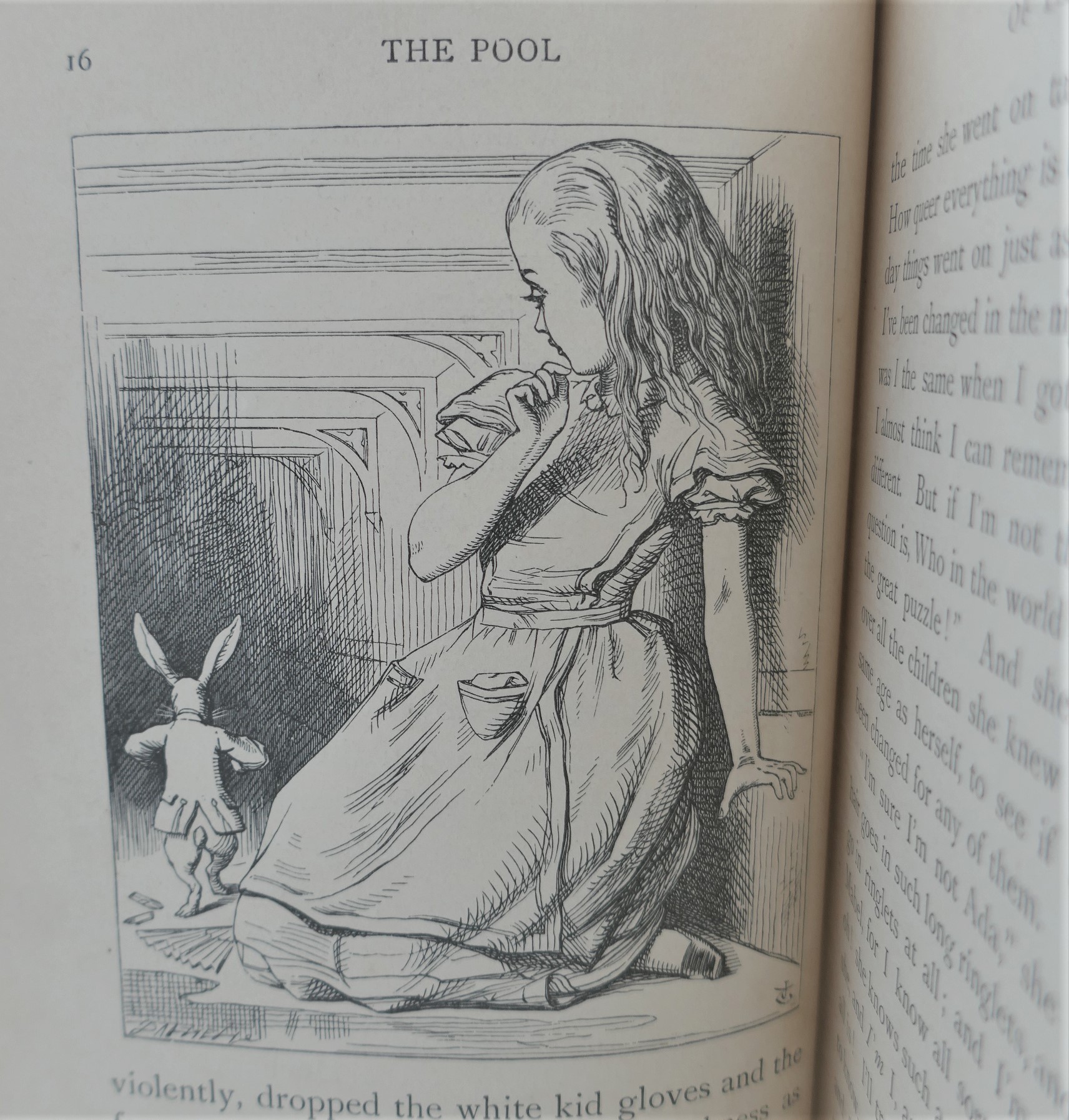 Alice's Adventures in Wonderland. Illustrated by John Tenniel (1907) - Image 6