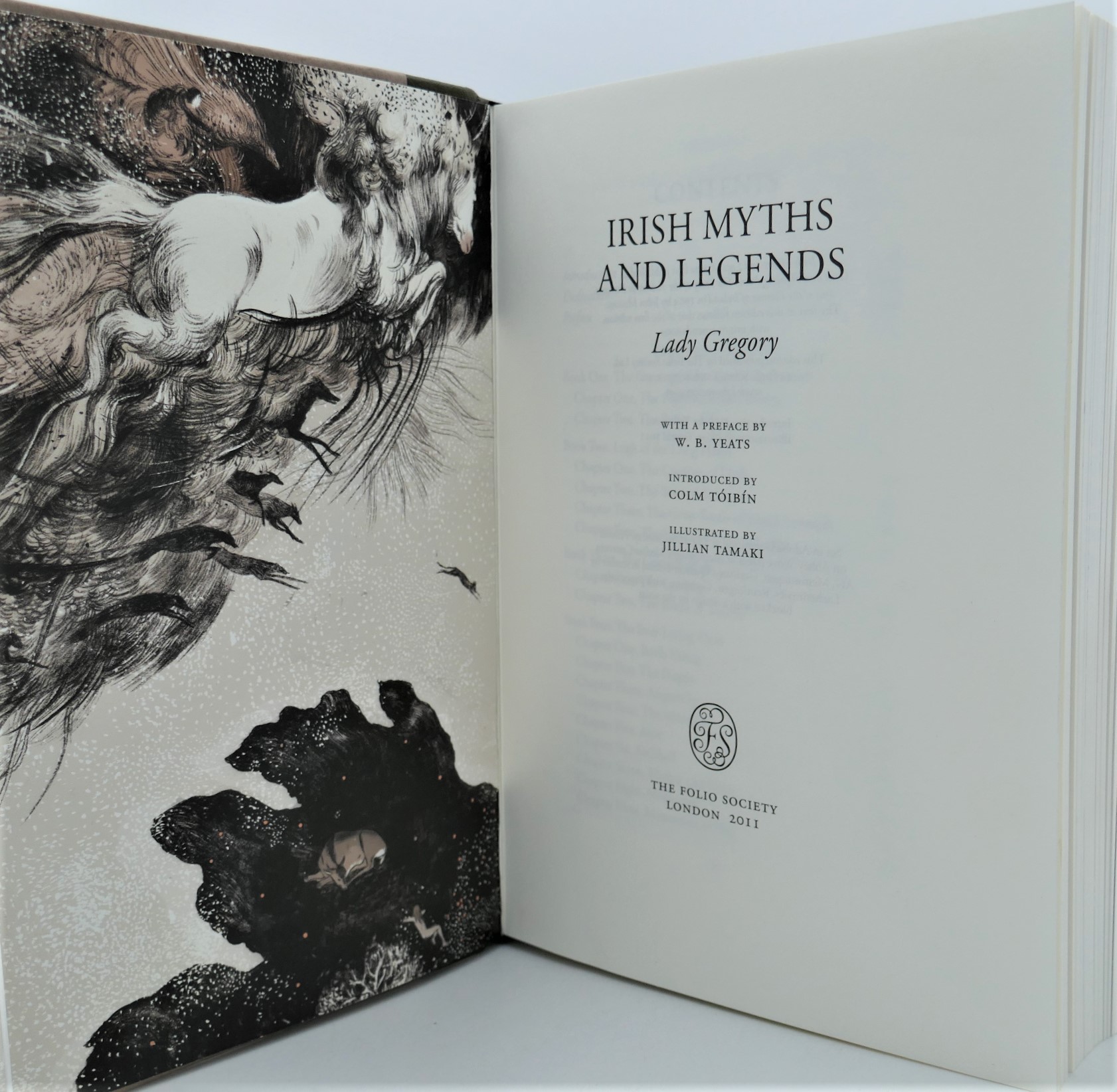 Irish Myths and Legends. Illustrated by Jillian Tamaki (2011) - Image 2