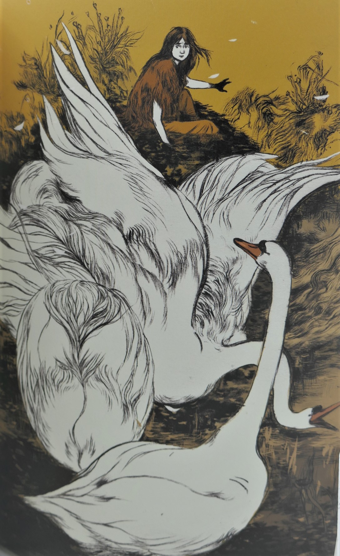 Irish Myths and Legends. Illustrated by Jillian Tamaki (2011) - Image 3
