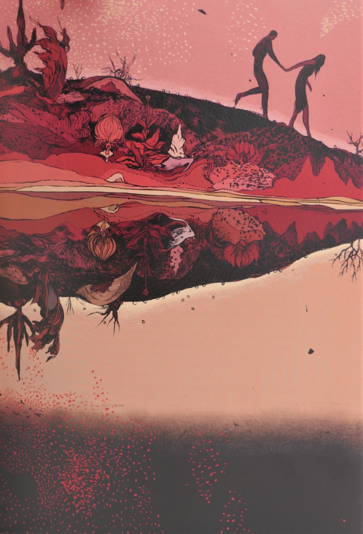 Irish Myths and Legends. Illustrated by Jillian Tamaki (2011) - Image 4
