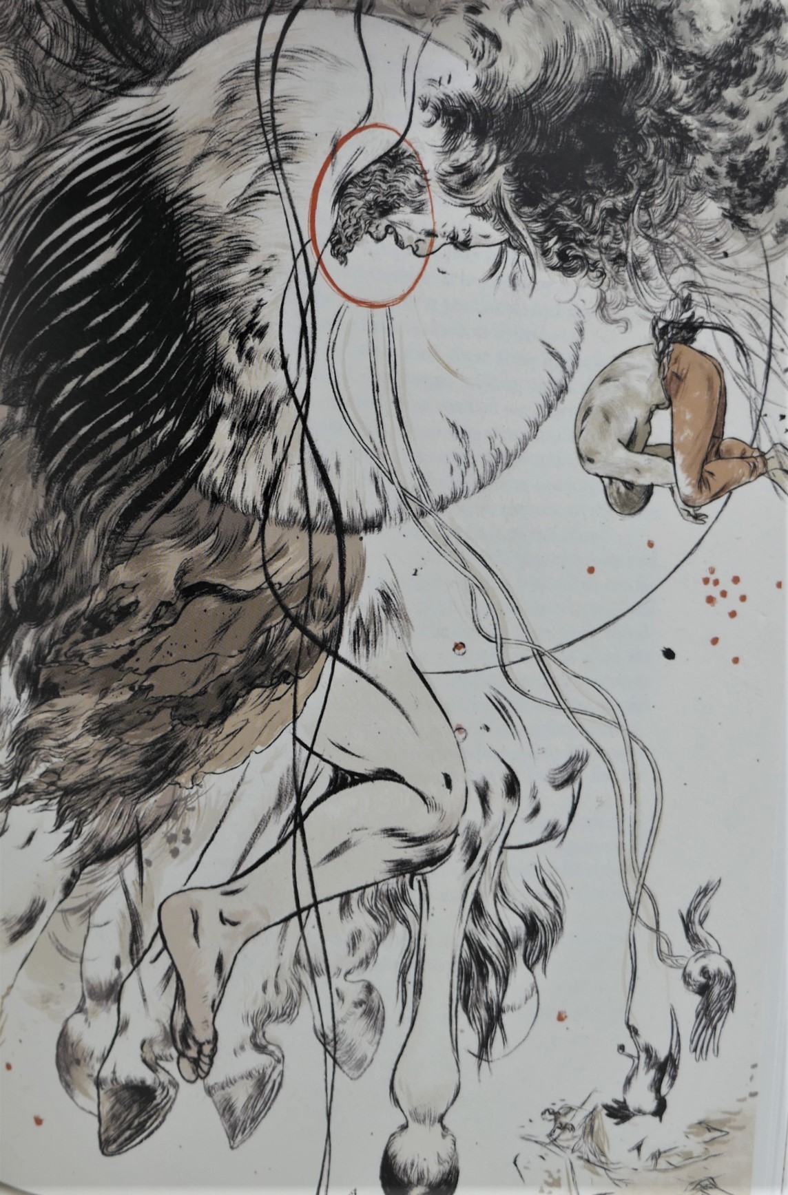 Irish Myths and Legends. Illustrated by Jillian Tamaki (2011) - Image 5
