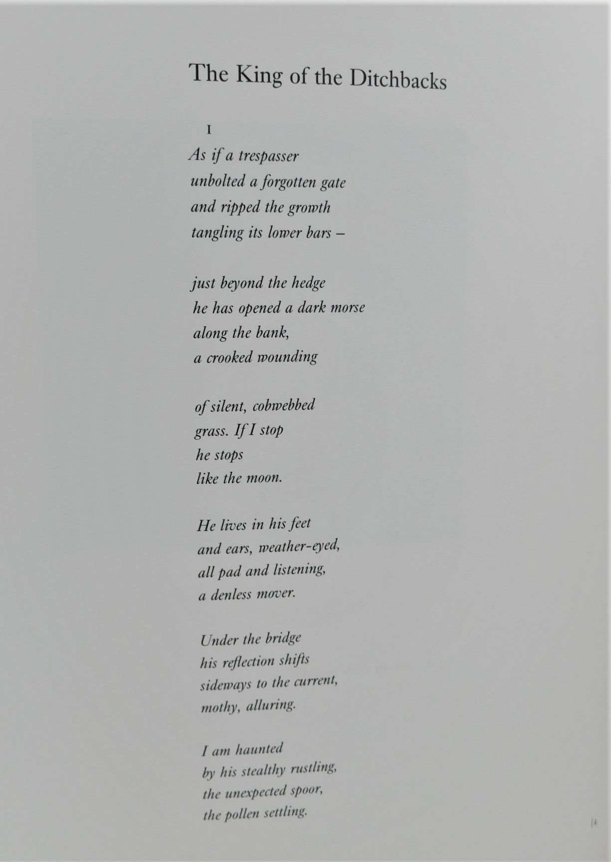 Sweeney's Flight. Photographs by Rachel Gies (1992) - Image 3
