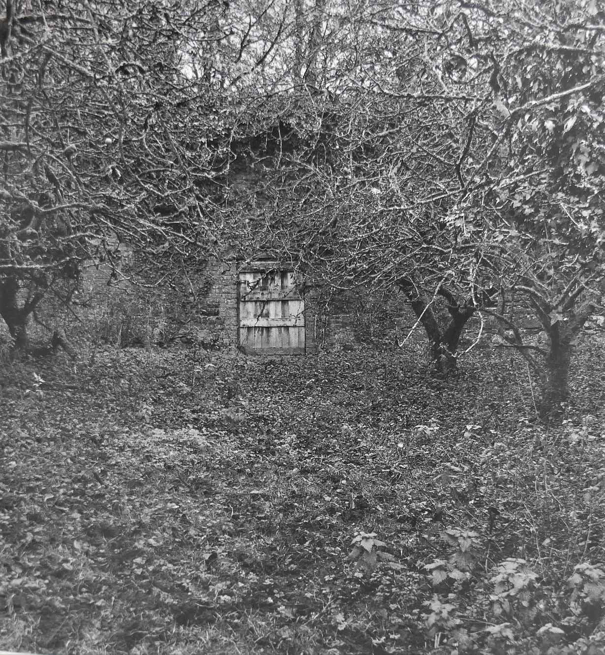 Sweeney's Flight. Photographs by Rachel Gies (1992) - Image 4