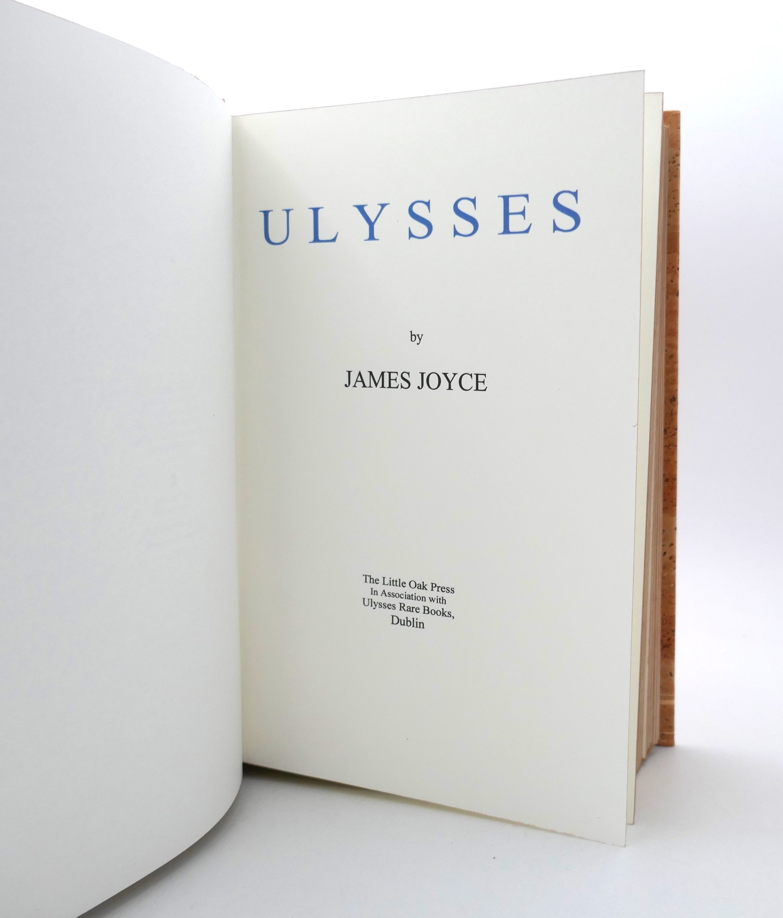 Ulysses. Special Centenary Edition (2022) - Image 6