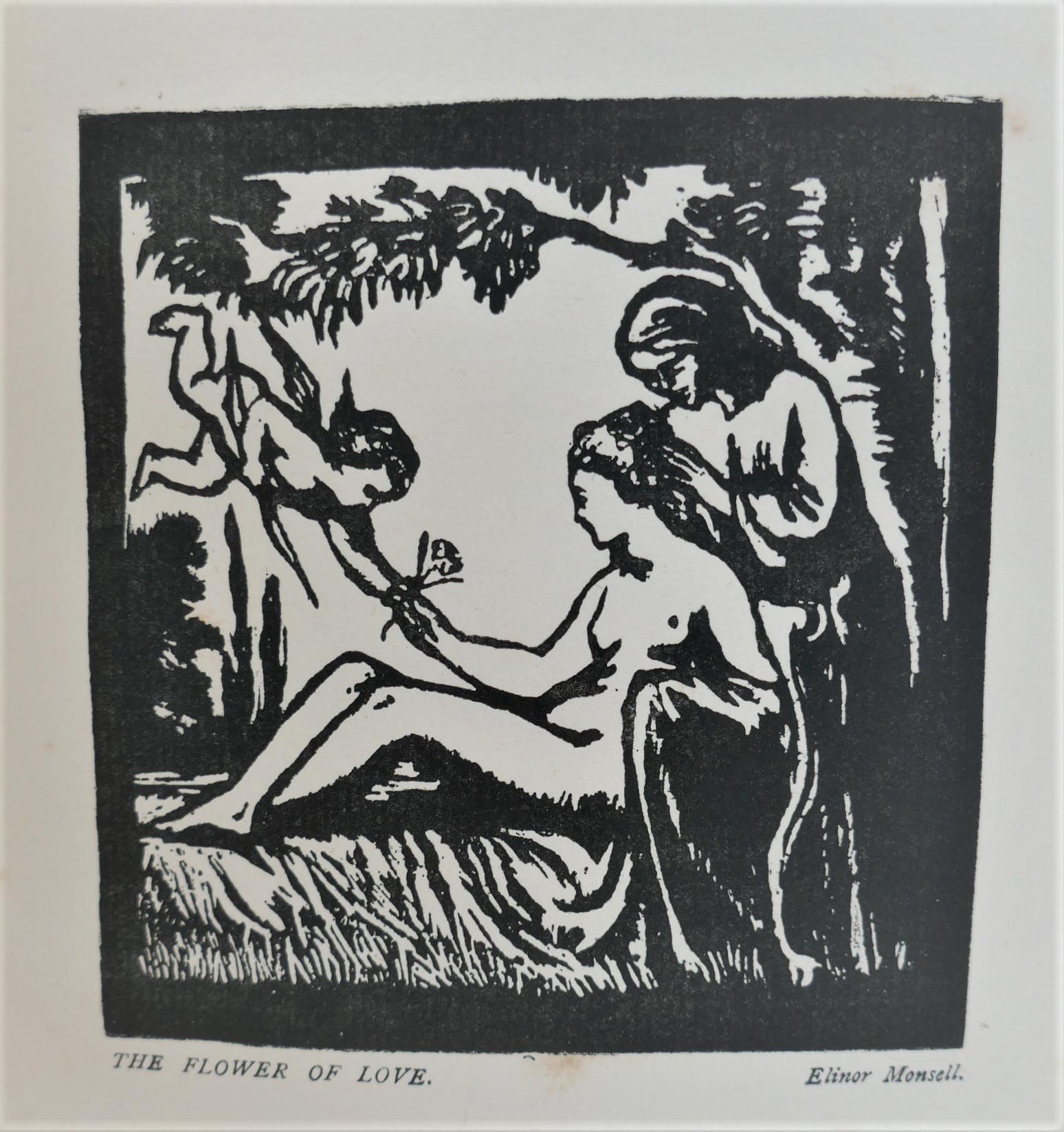 The Shanachie. An Illustrated Irish Miscellany. First Edition (1907) - Image 6