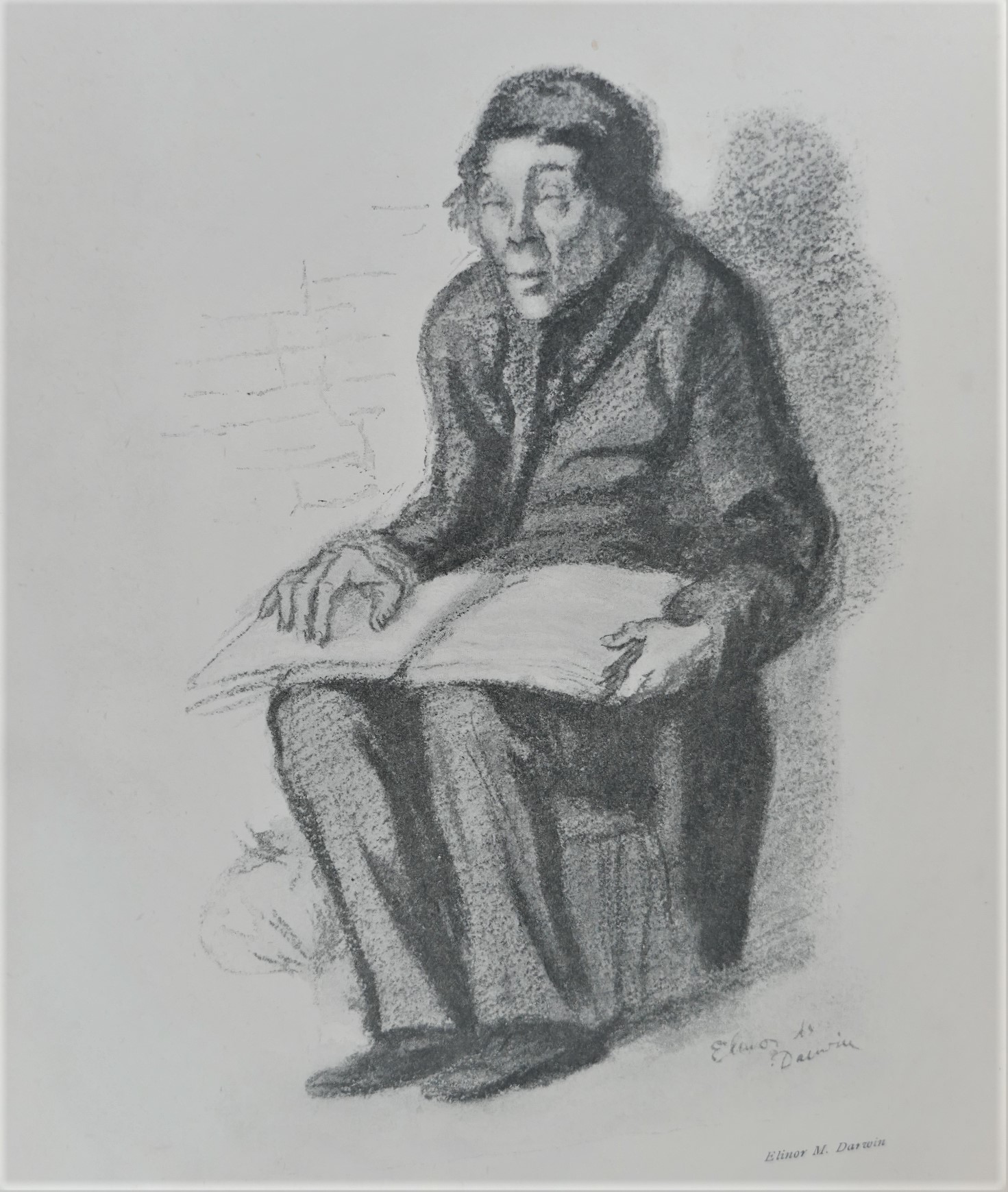 The Shanachie. An Illustrated Irish Miscellany. First Edition (1907) - Image 11