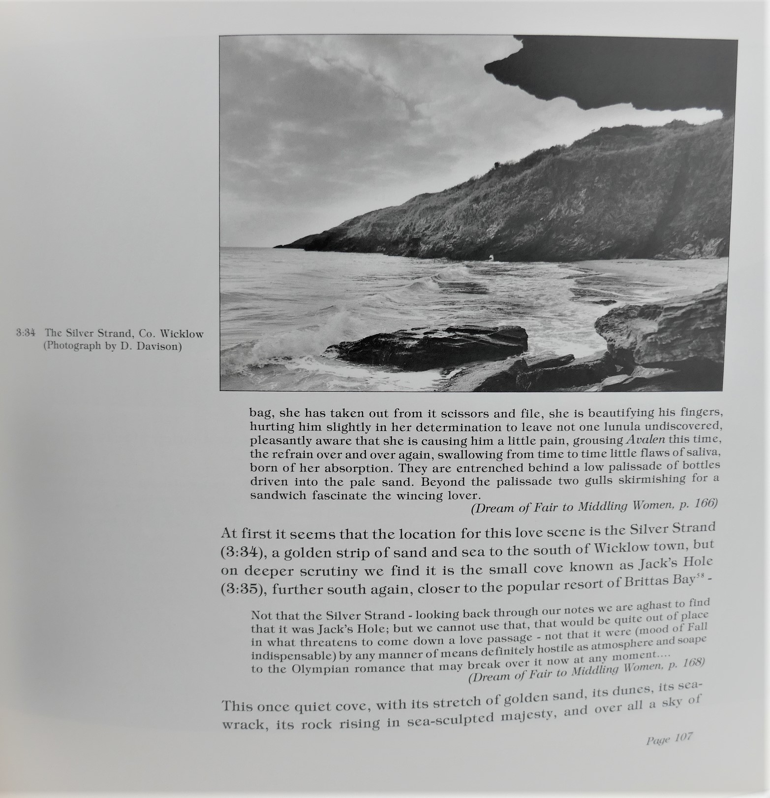 The Beckett Country. Samuel Beckett's Ireland (1986) - Image 4