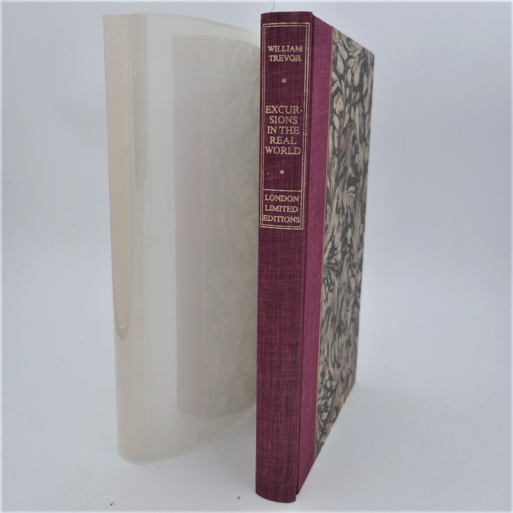 Excursions In The Real World. Limited Edition (1993)