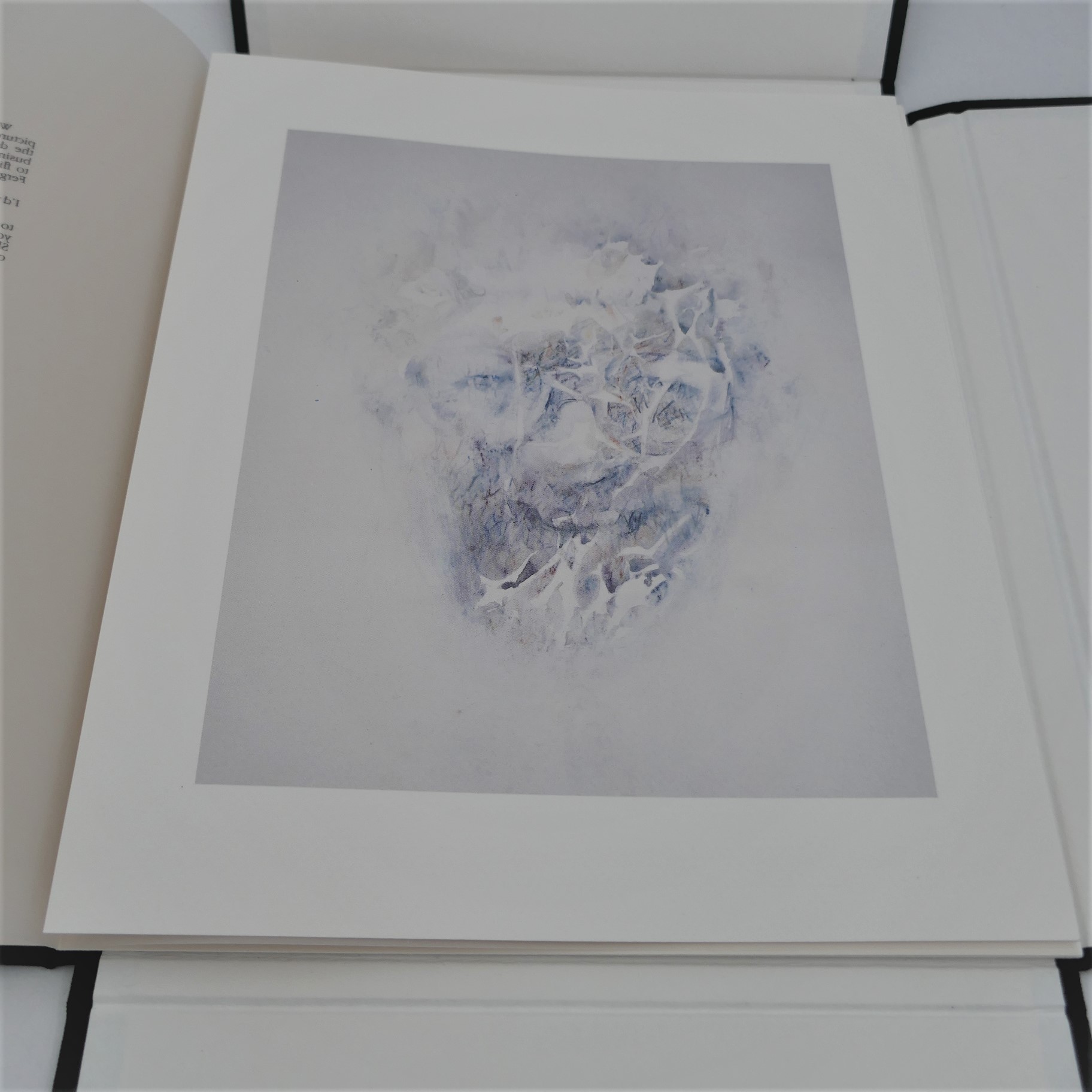 Eight Irish Portraits In Words & Watercolour. Limited Edition (1990) - Image 3