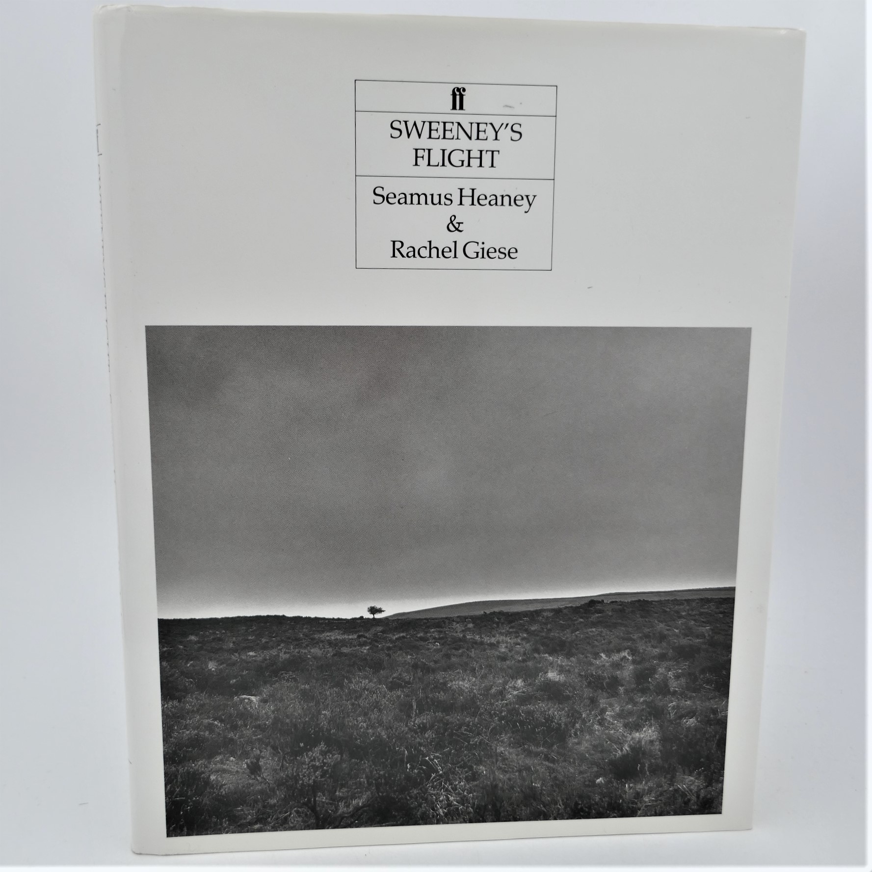 Sweeney's Flight. Photographs by Rachel Gies (1992)