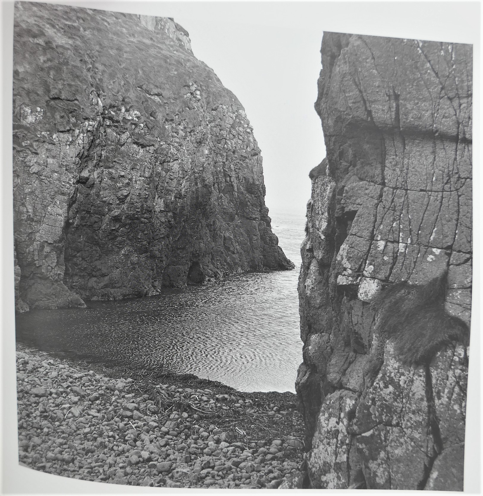 Sweeney's Flight. Photographs by Rachel Gies (1992) - Image 3