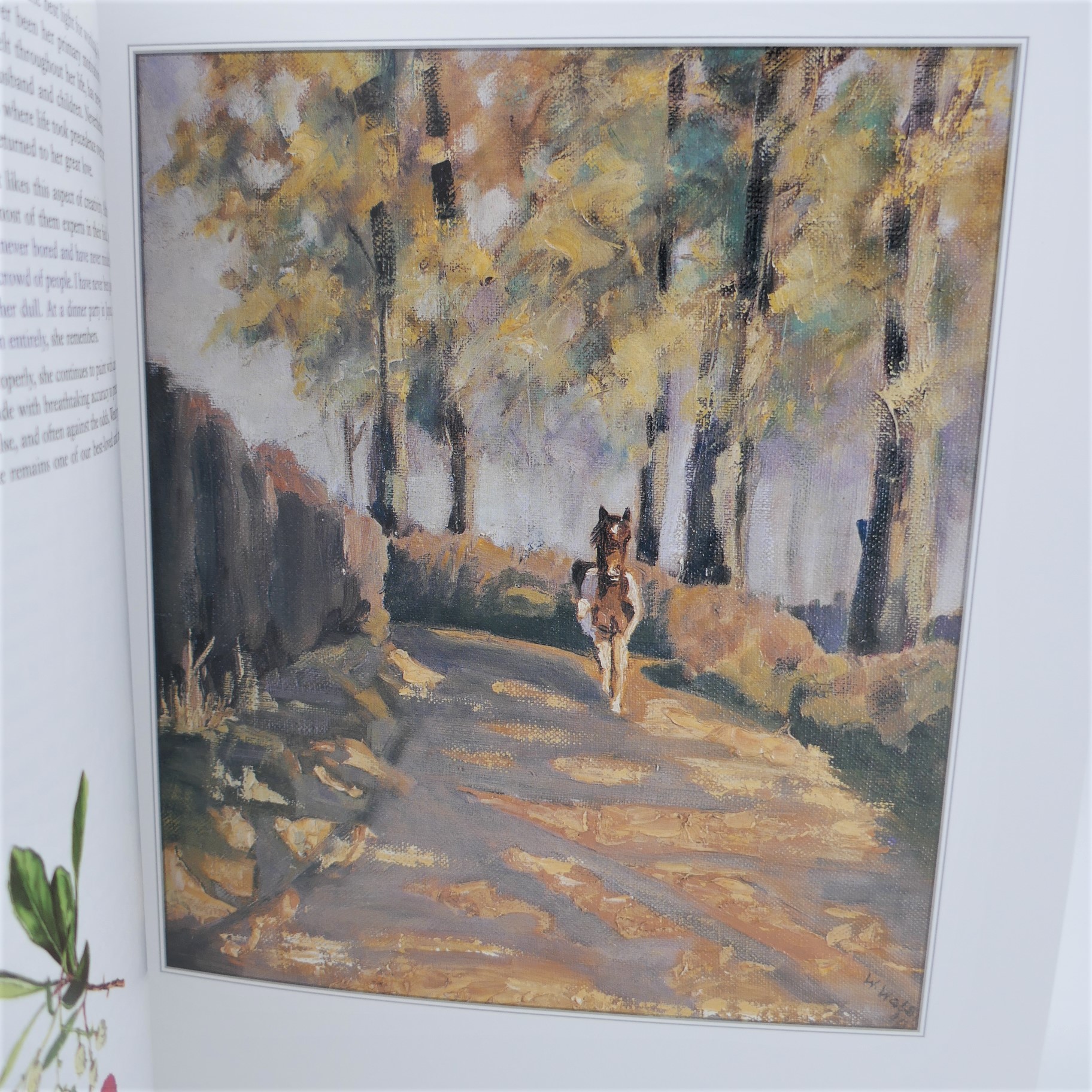 Wendy Walsh A Lifetime of Painting. One of 24 Reserved for Patrons (2007) - Image 5
