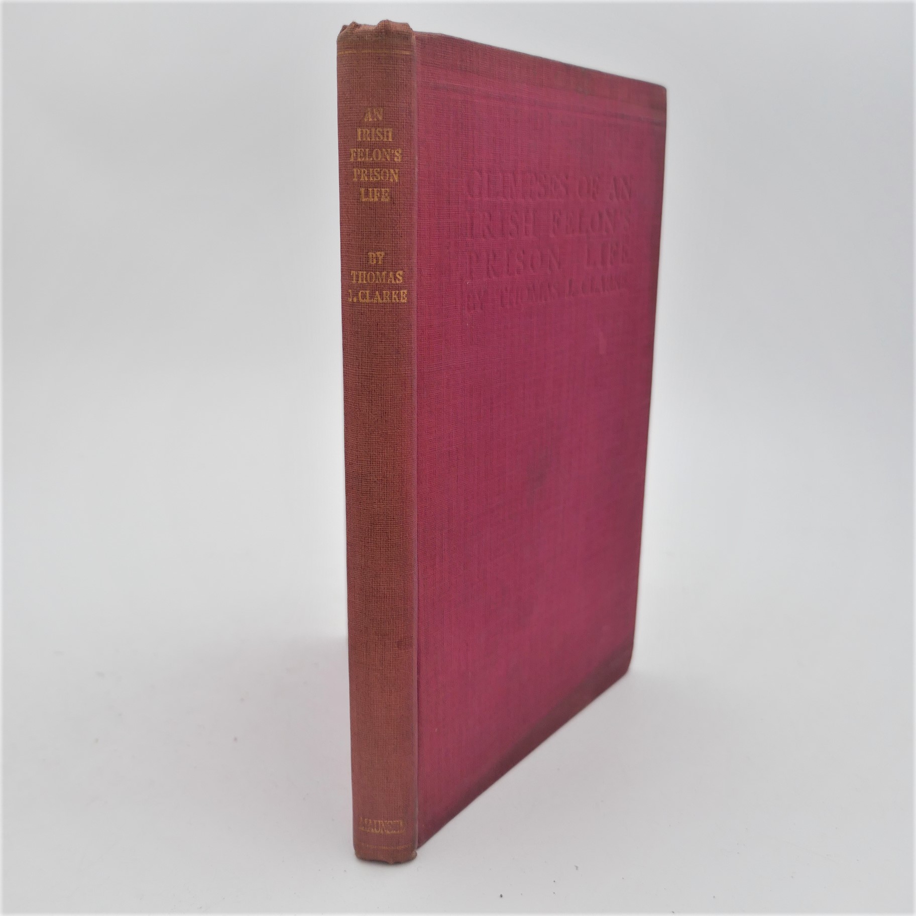 Glimpses of an Irish Felon's Prison Life (1922)