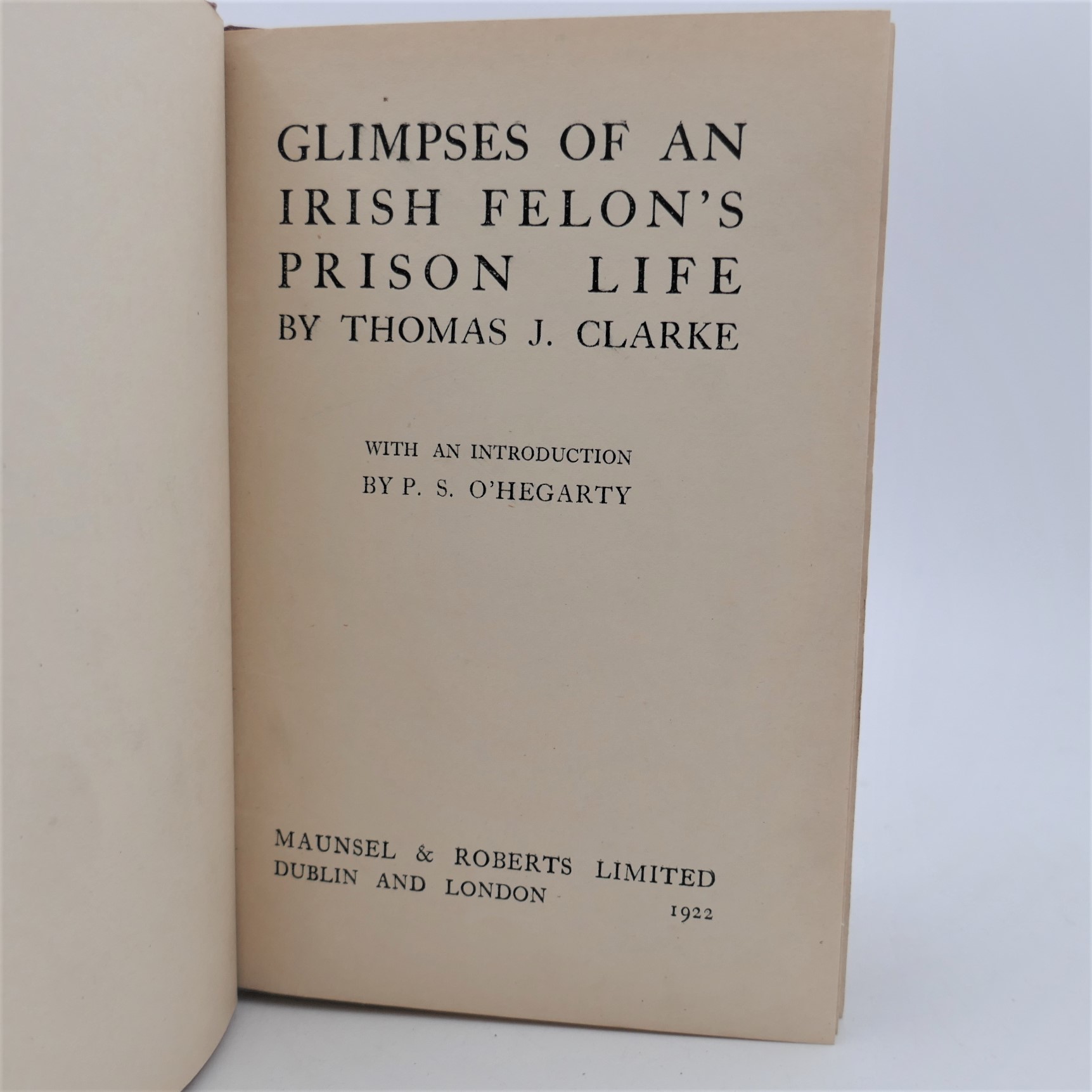 Glimpses of an Irish Felon's Prison Life (1922) - Image 2