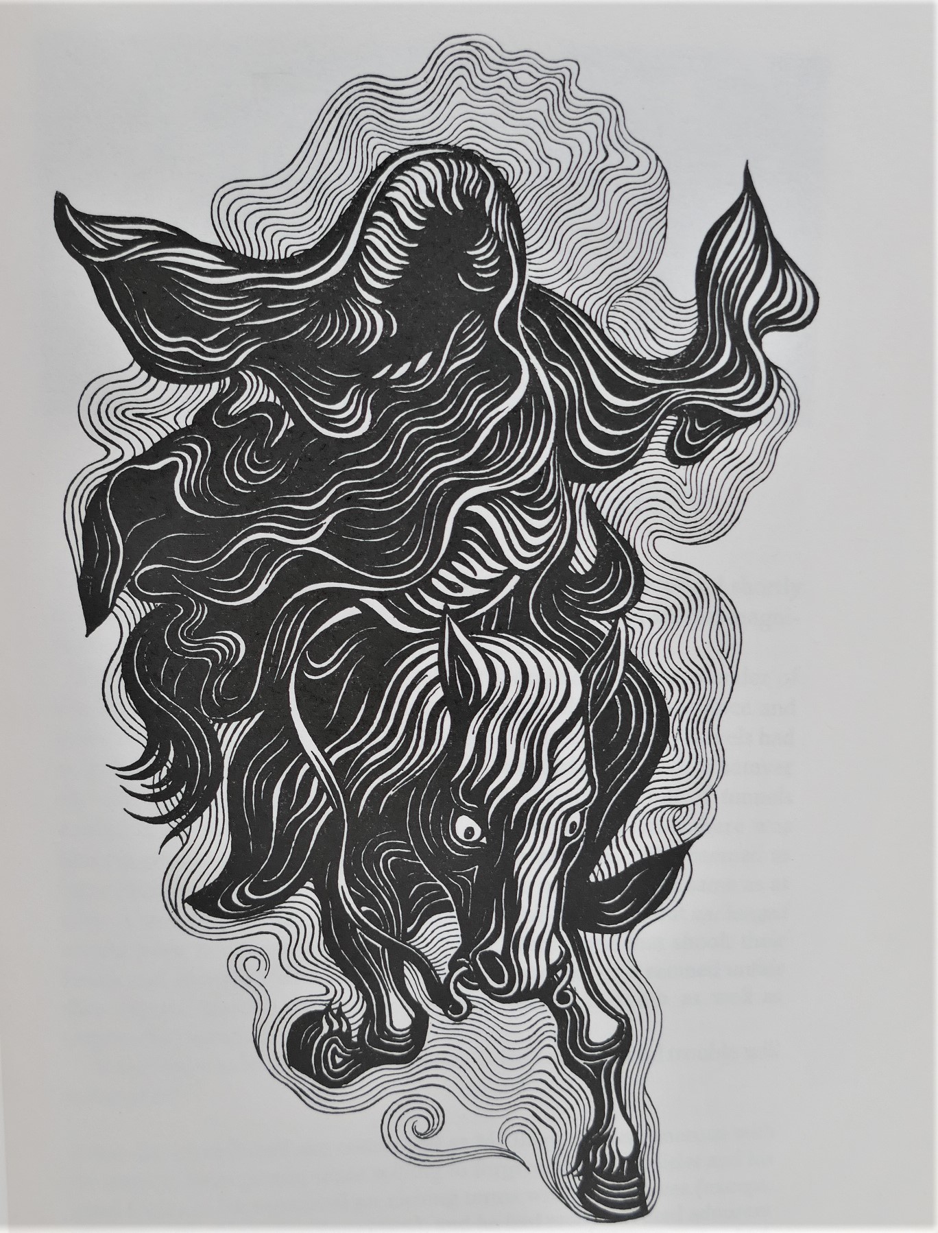The Lord of The Rings. Folio Society (1977) - Image 4