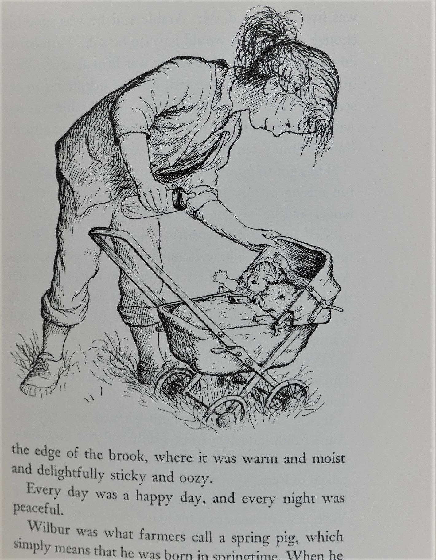 Charlotte's Web. Illustrated by Garth Williams (1960) - Image 3