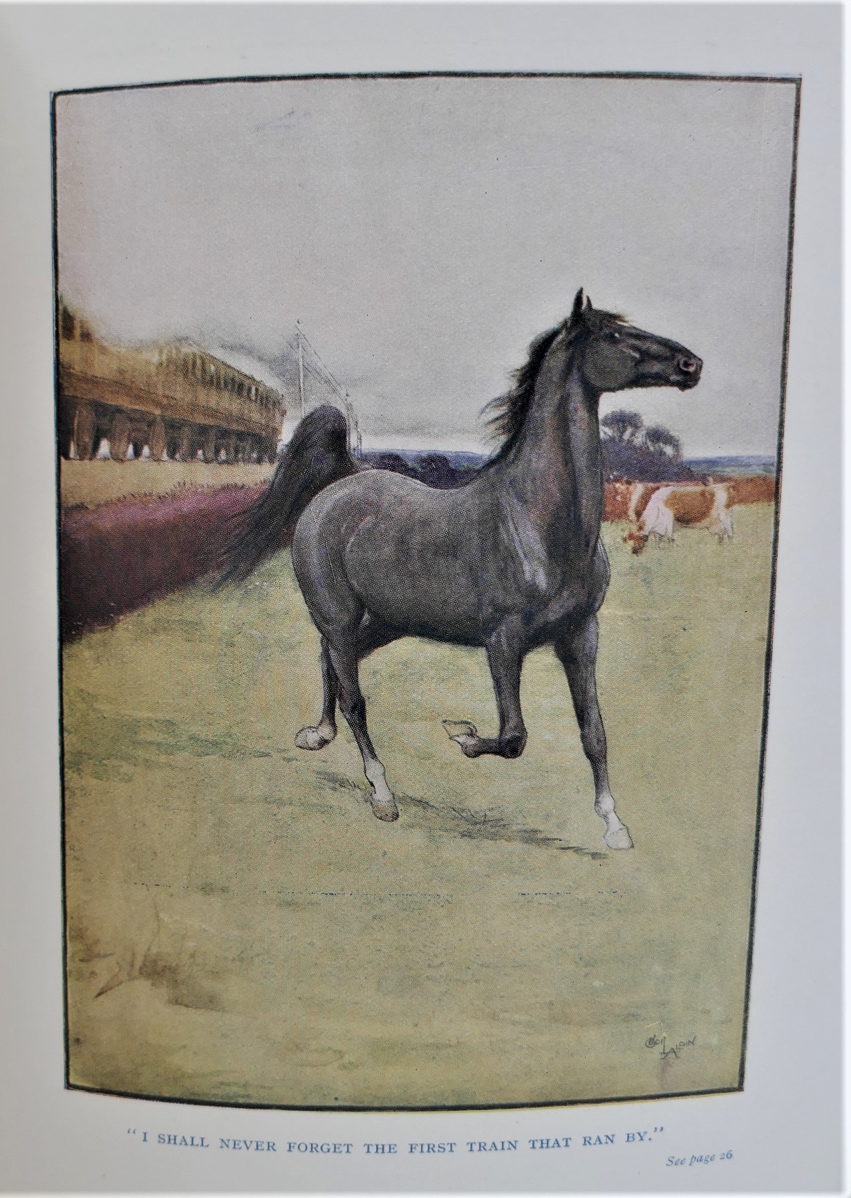 Black Beauty. Illustrated by Cecil Aldin (1938) - Image 3