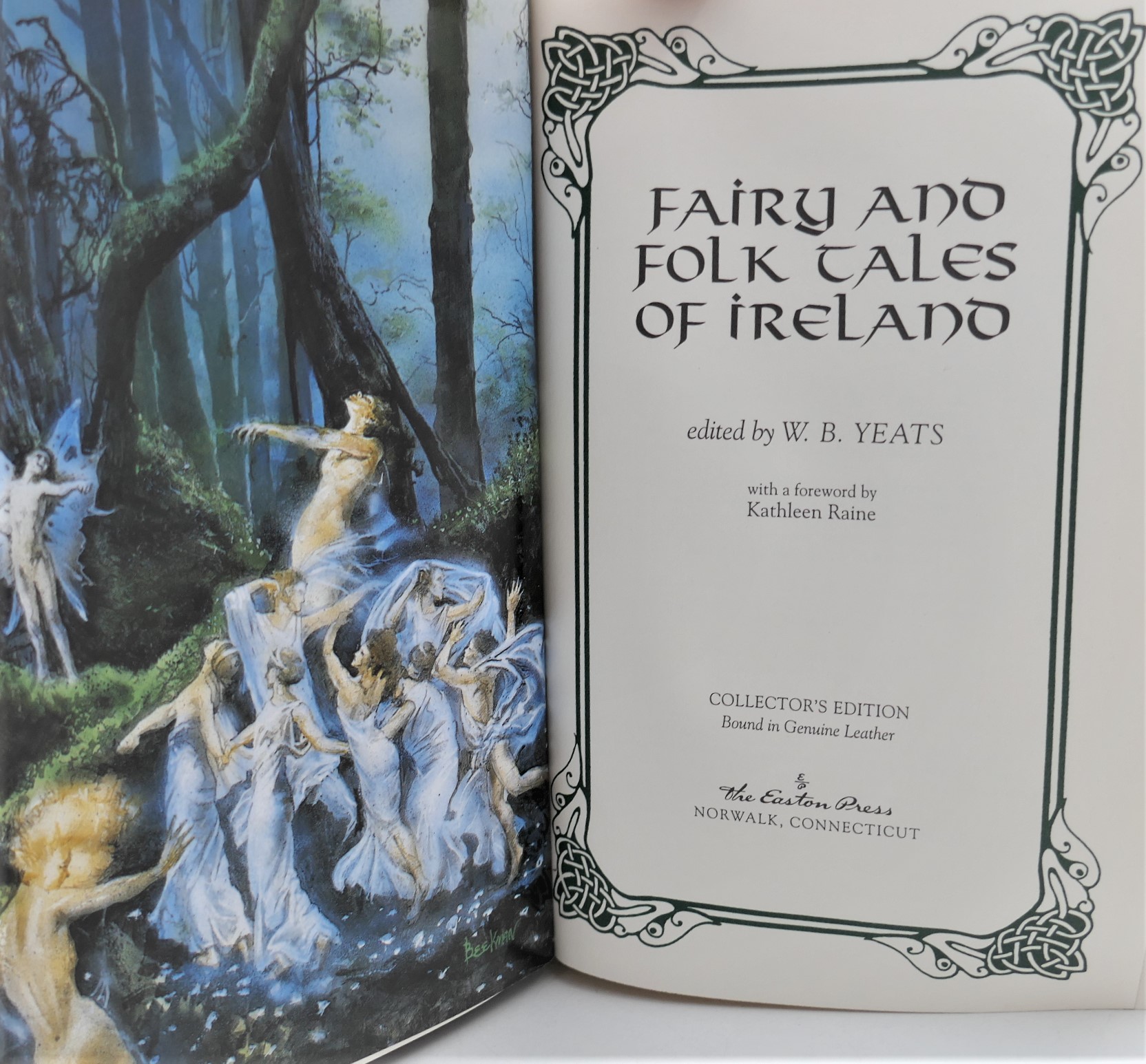 Fairy and Folk Tales of Ireland (2000) - Image 2
