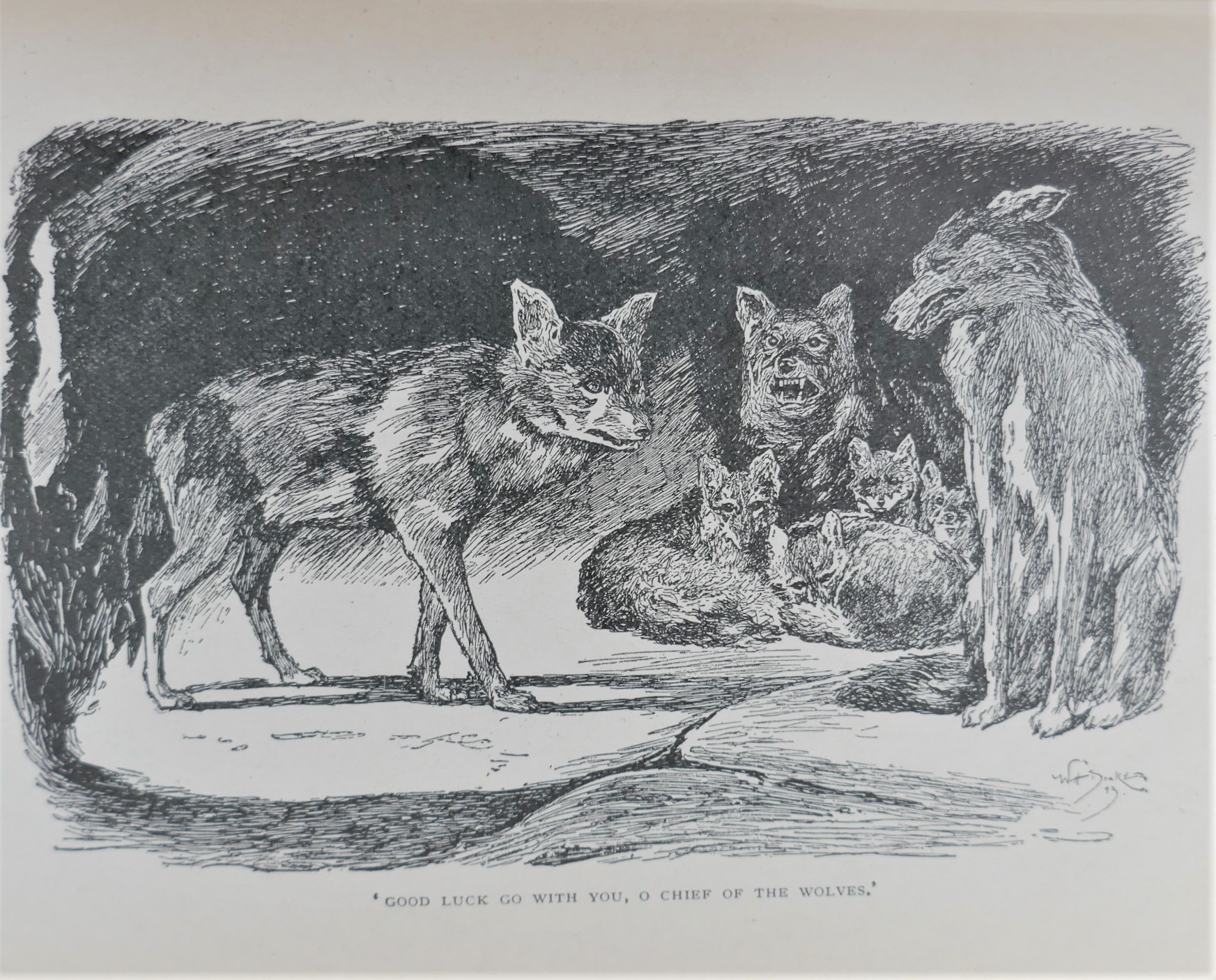 The Jungle Book & The Second Jungle Book (1944) - Image 4