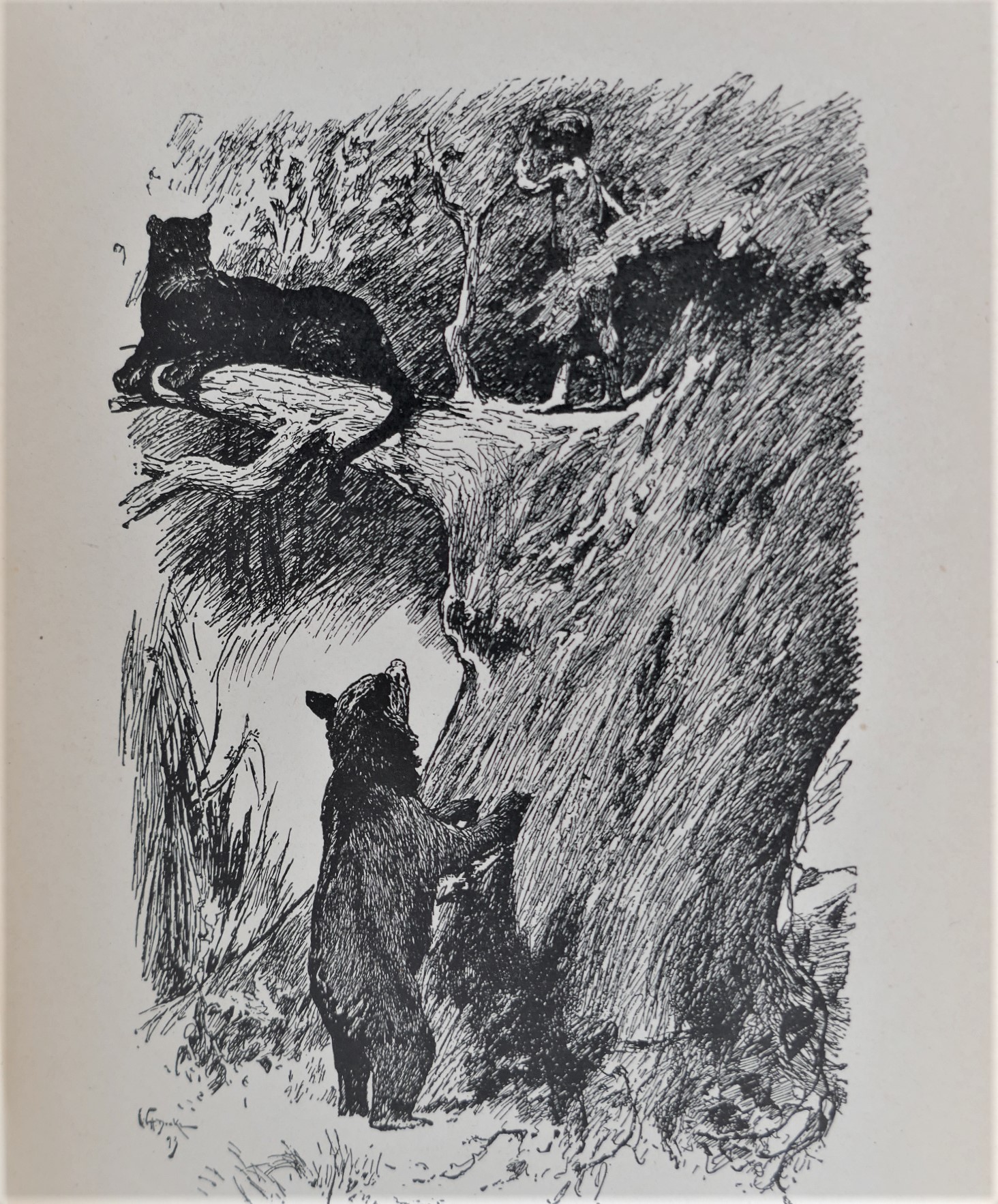 The Jungle Book & The Second Jungle Book (1944) - Image 5