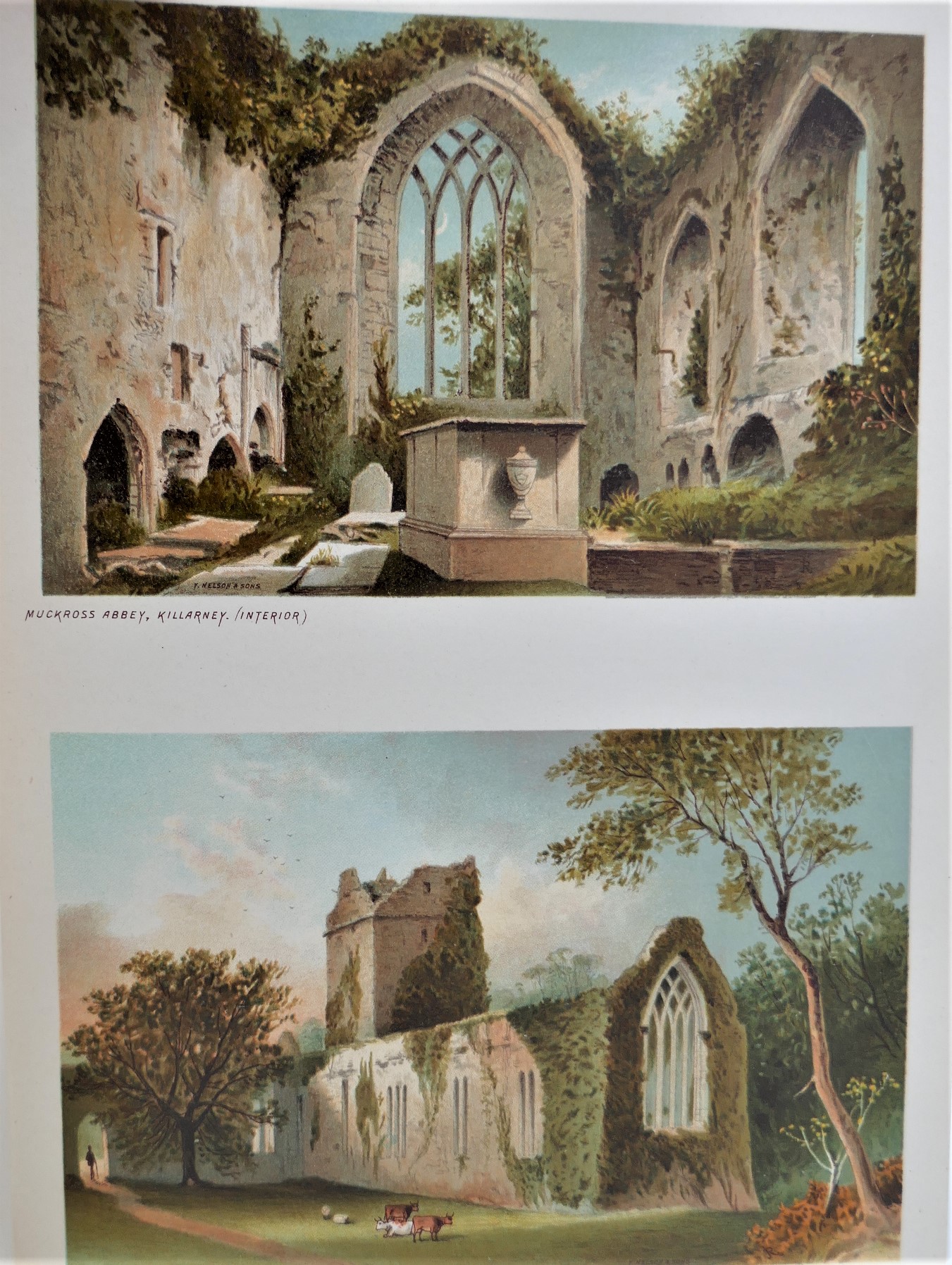 Souvenir of the Lakes of Killarney and Glengariff (1892) - Image 4