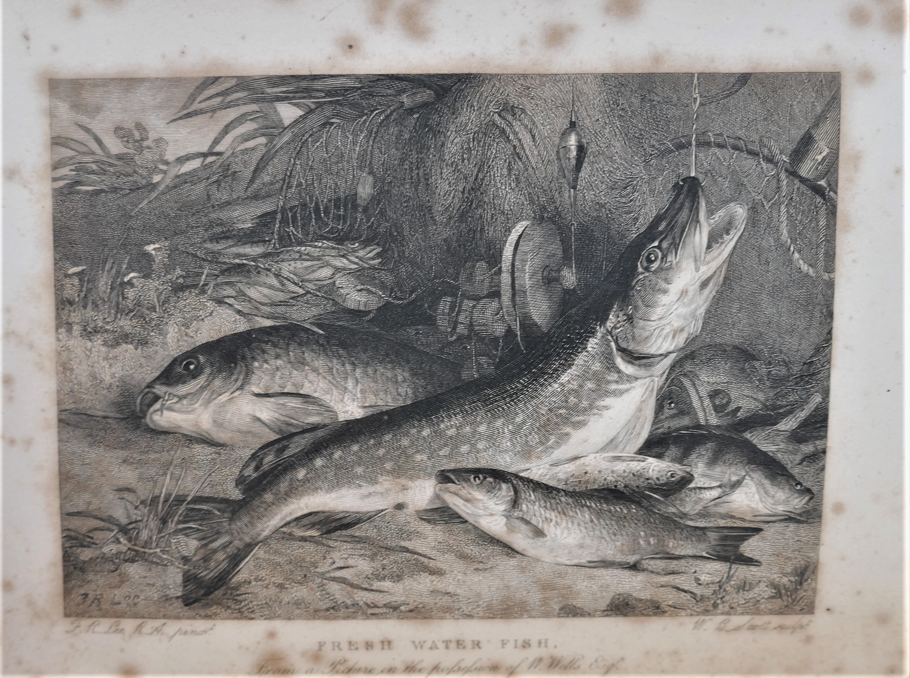 The Illustrated Fly-Fisher's Text Book (1845) - Image 4