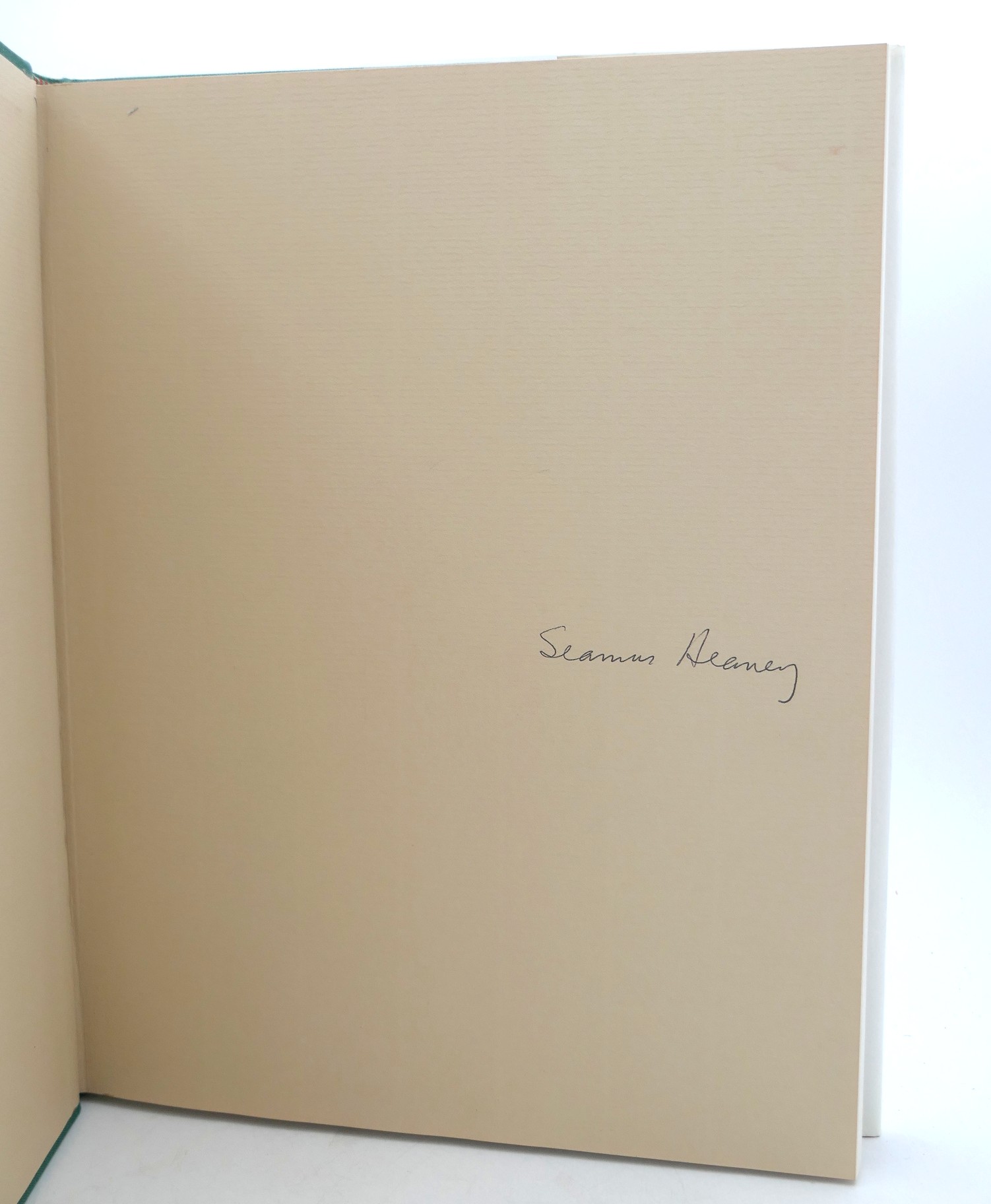 Sweeney's Flight. Photographs by Rachel Gies (1992) - Image 5