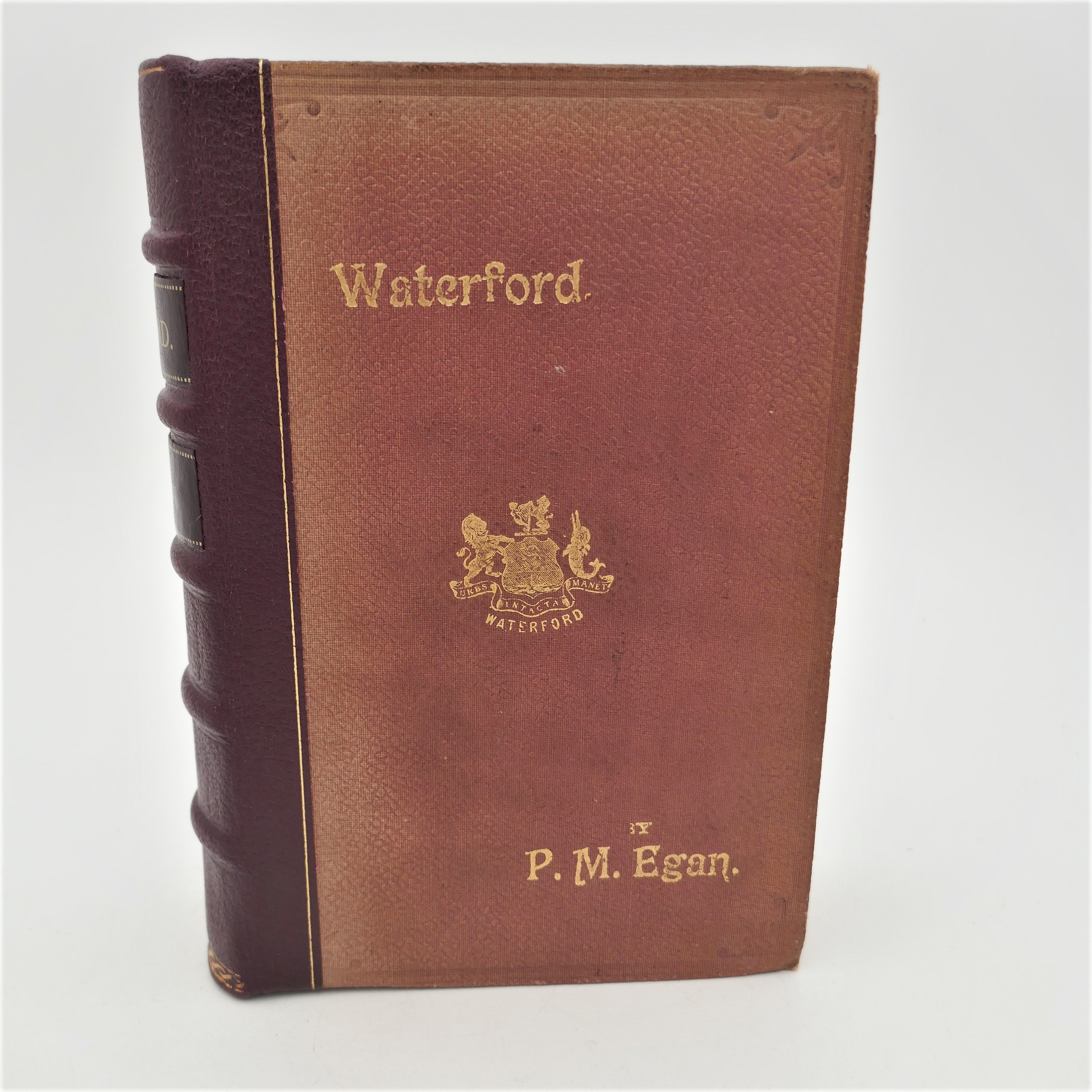 Egan's Guide & Directory to Waterford (1894)