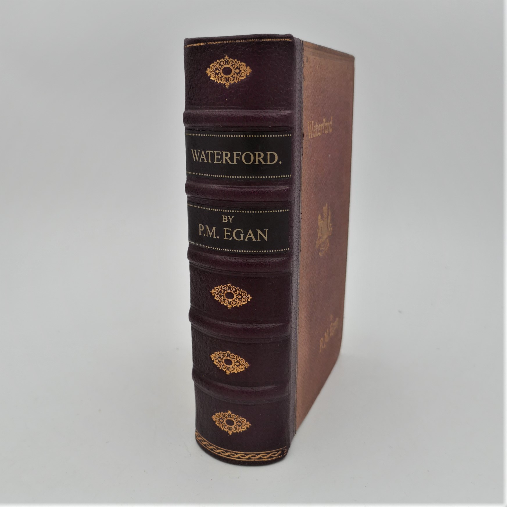Egan's Guide & Directory to Waterford (1894) - Image 2