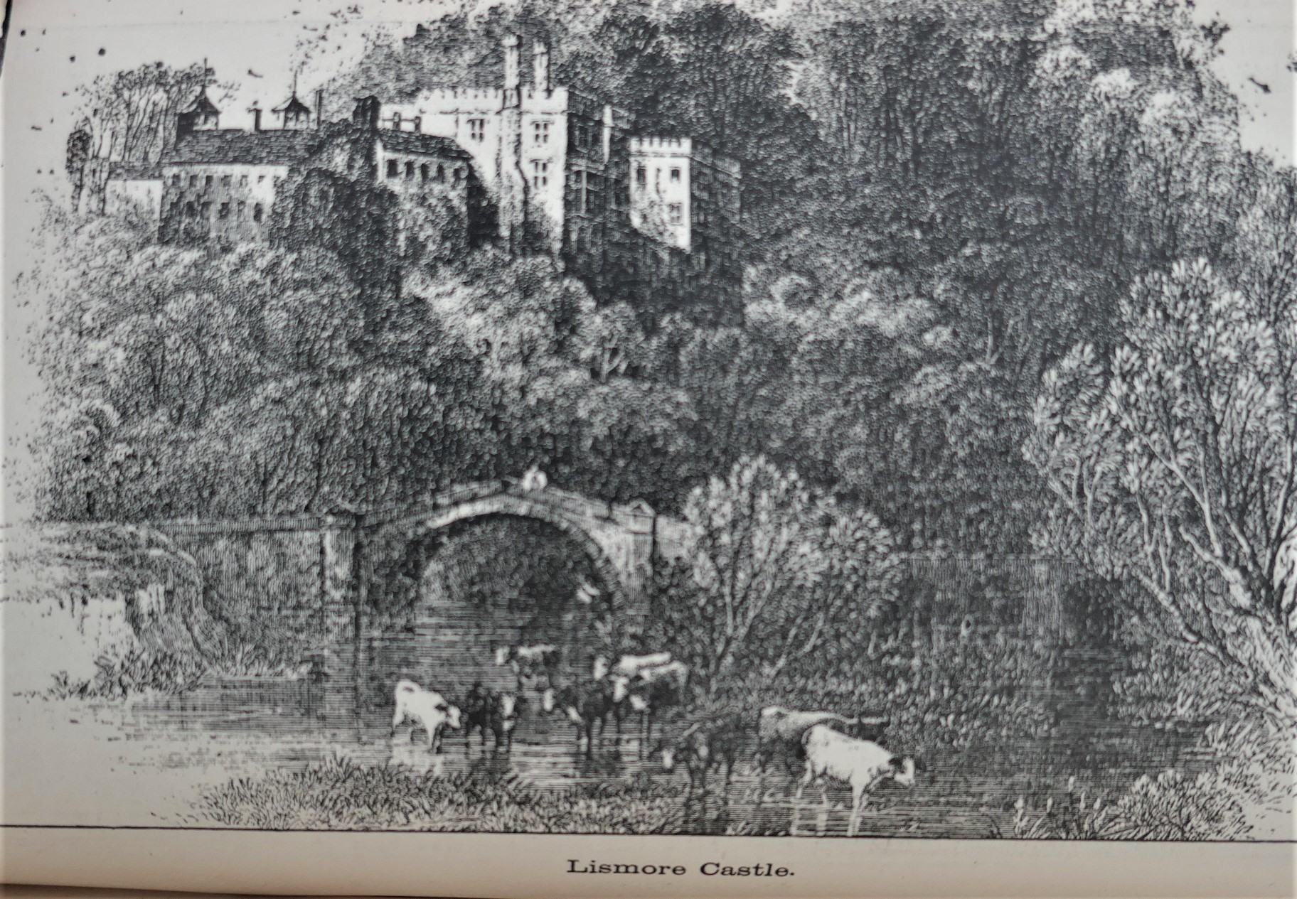 Egan's Guide & Directory to Waterford (1894) - Image 6