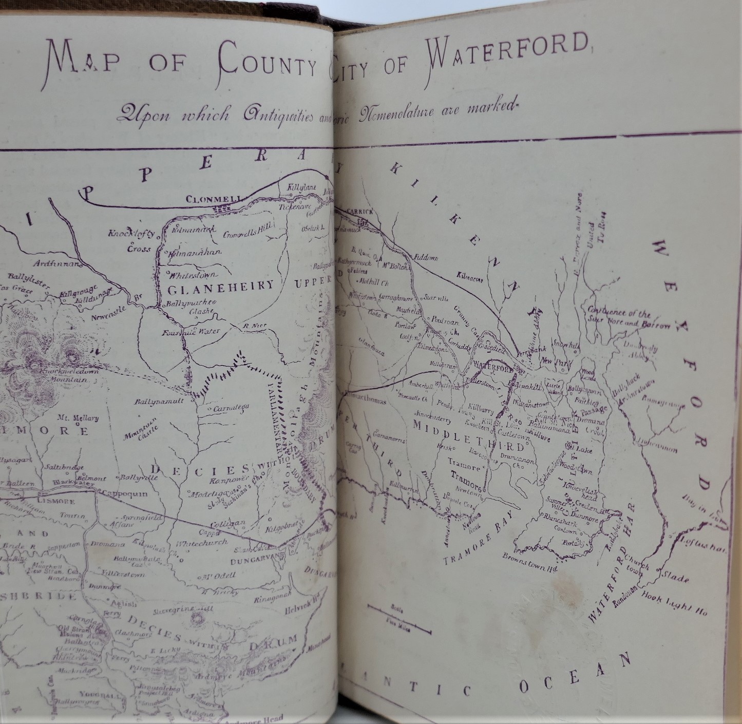 Egan's Guide & Directory to Waterford (1894) - Image 8
