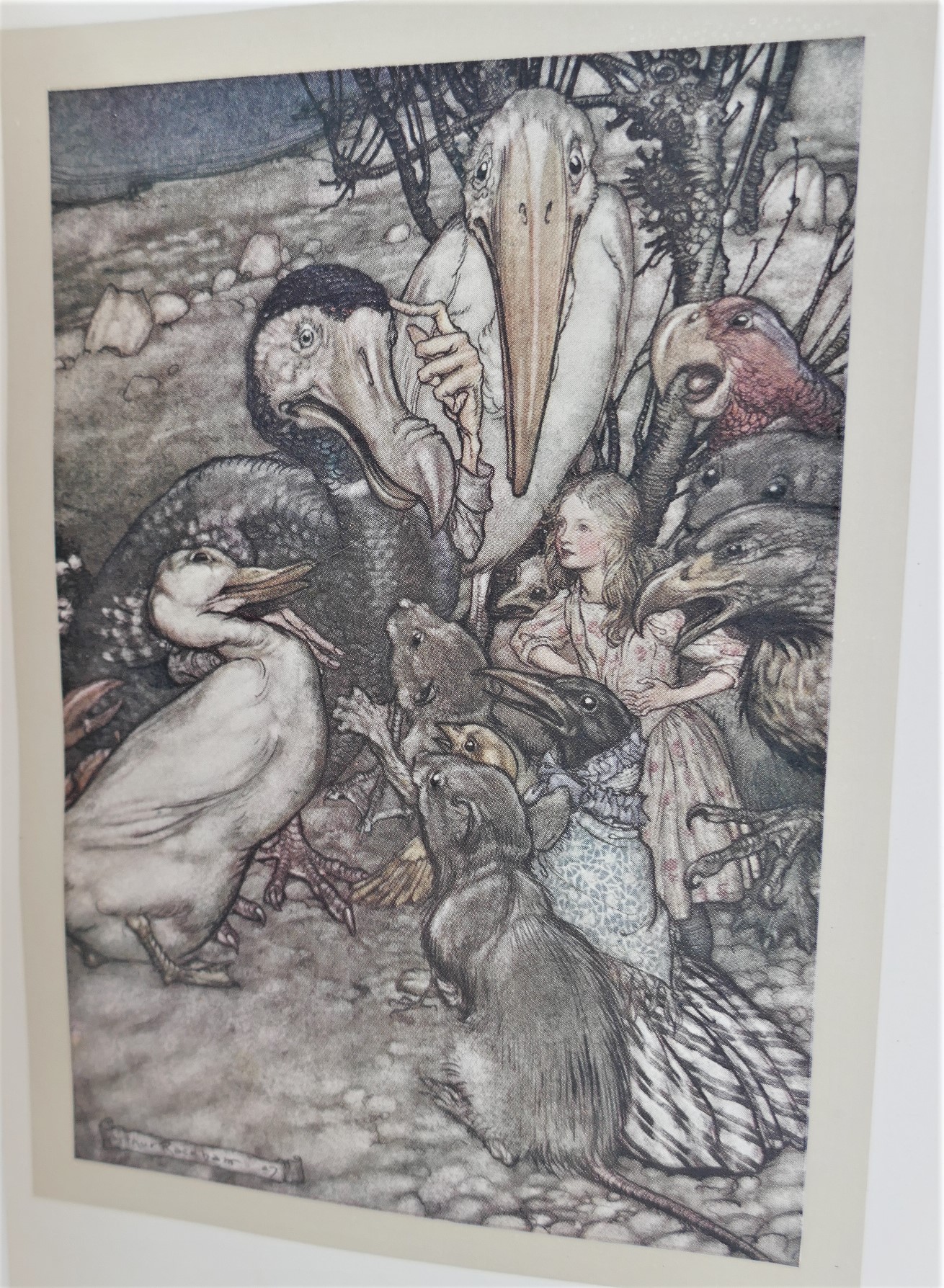 Alice's Adventures in Wonderland. Illustrated by Arthur Rackham (1909) - Image 5