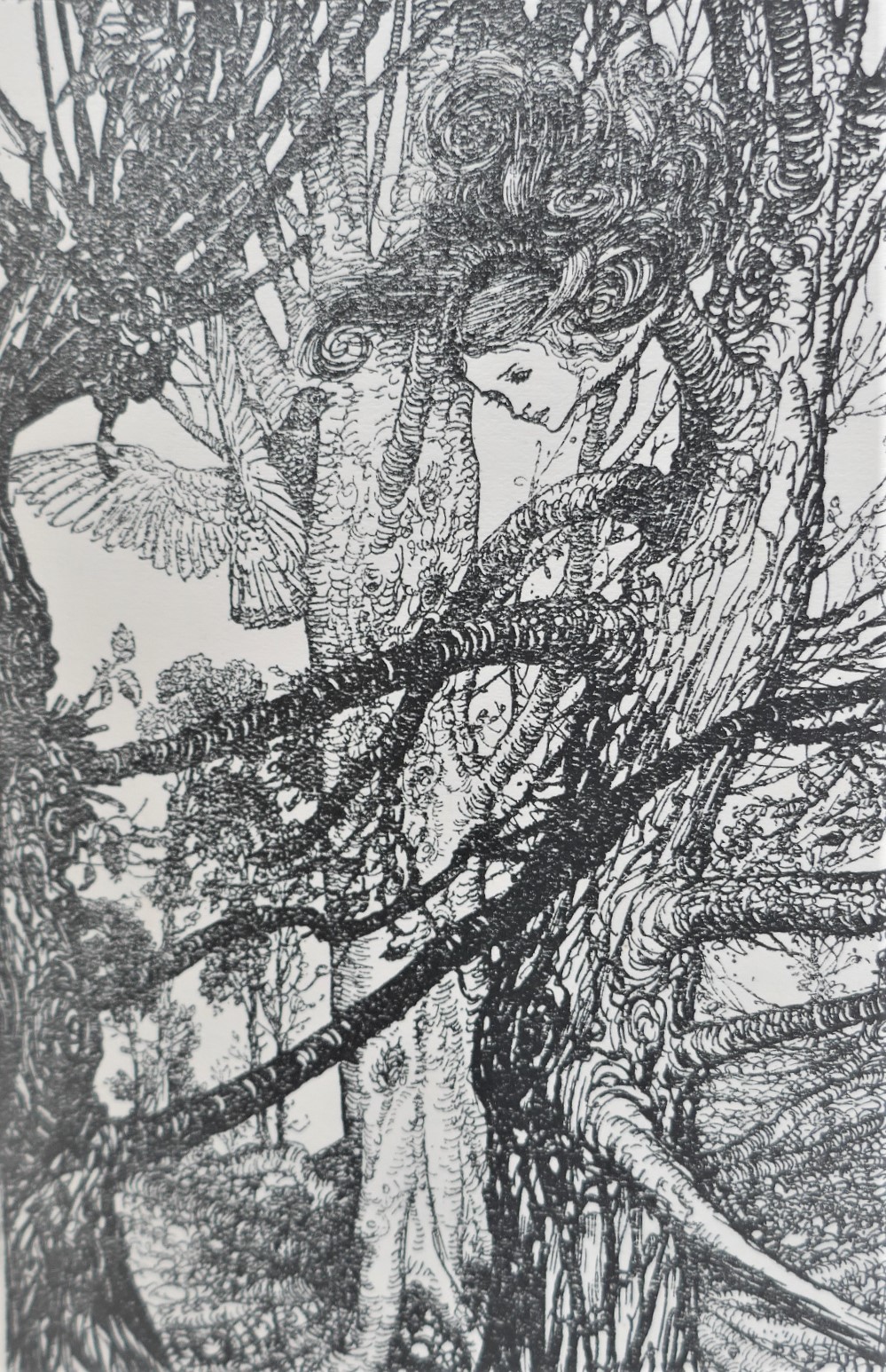 Alice's Adventures in Wonderland. Illustrated by Arthur Rackham (1909) - Image 7